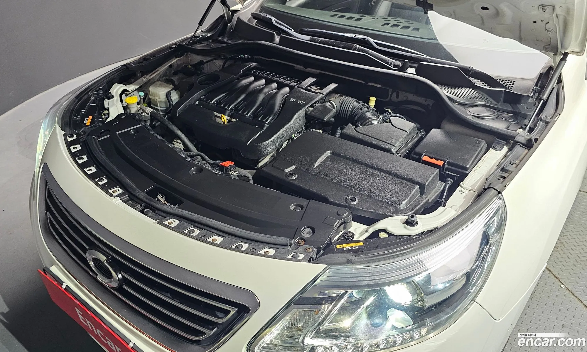 Renault Korea Samsung New Sm5 Platinum Re Basic Type - фотография 6673211