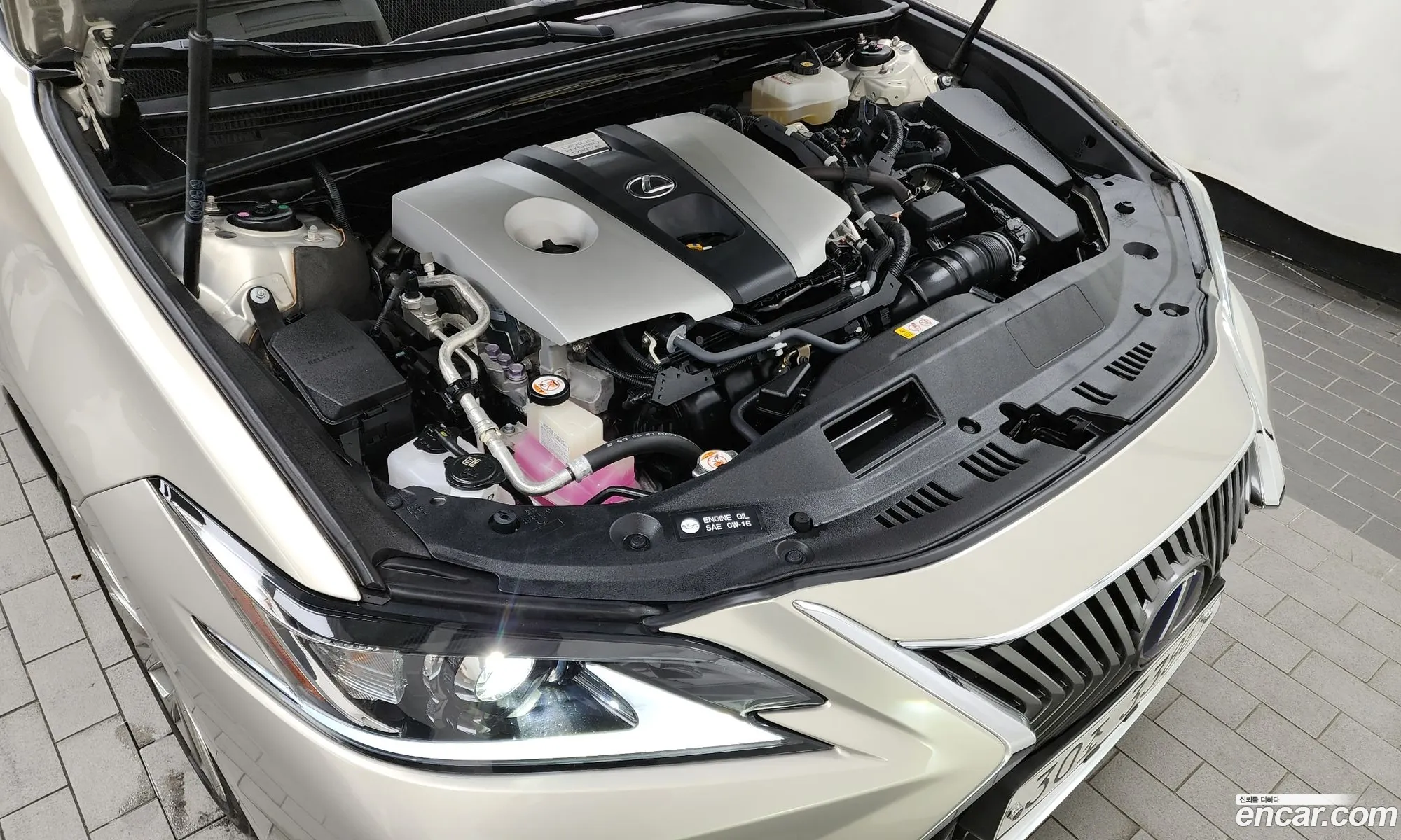 Lexus Es300H 7Th Generation Luxury Plus - фотография 5175125