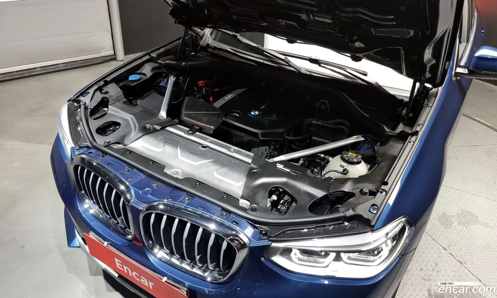 BMW X4 G02 xDrive20D Xline - фотография 18102384