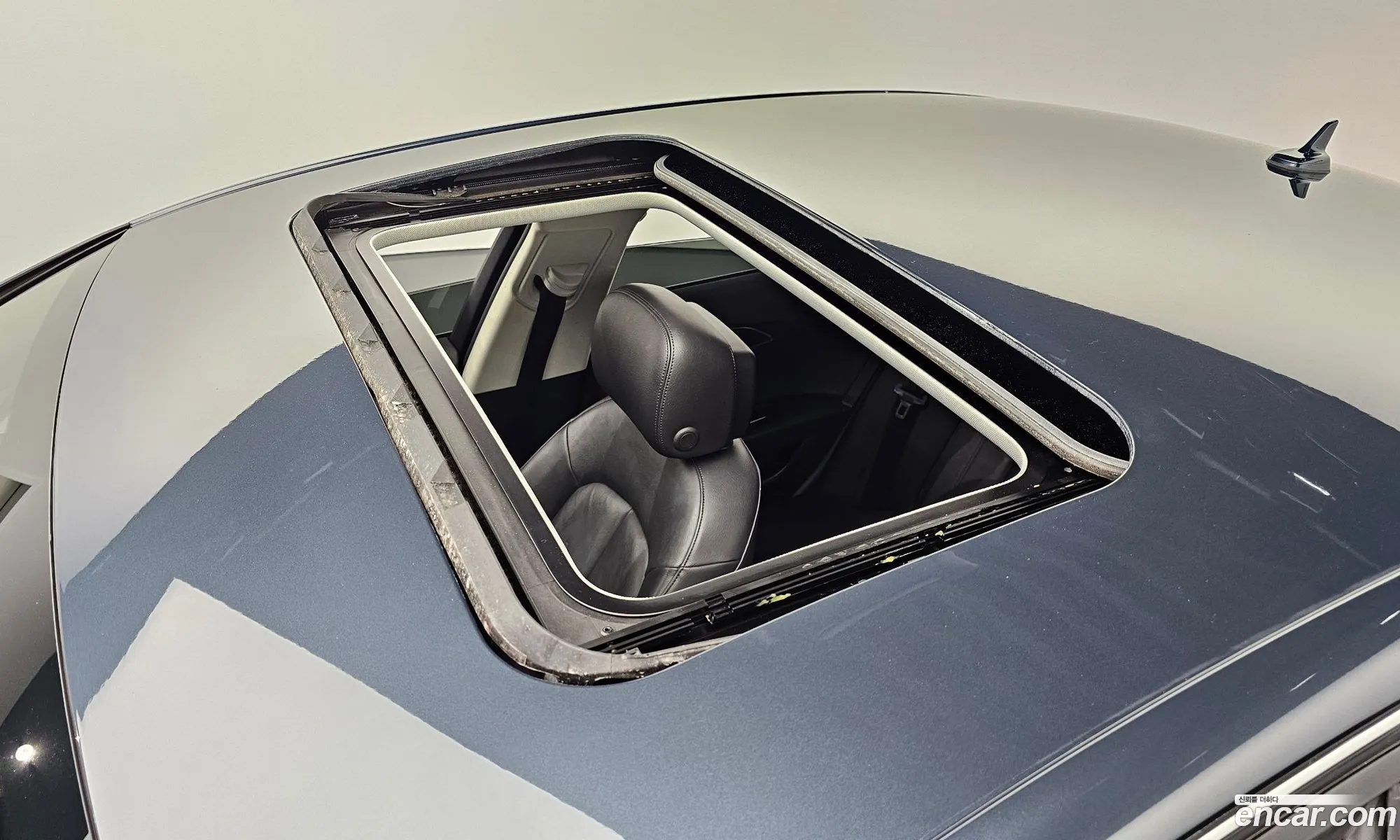 Korex Auto Trade - фотография 417917