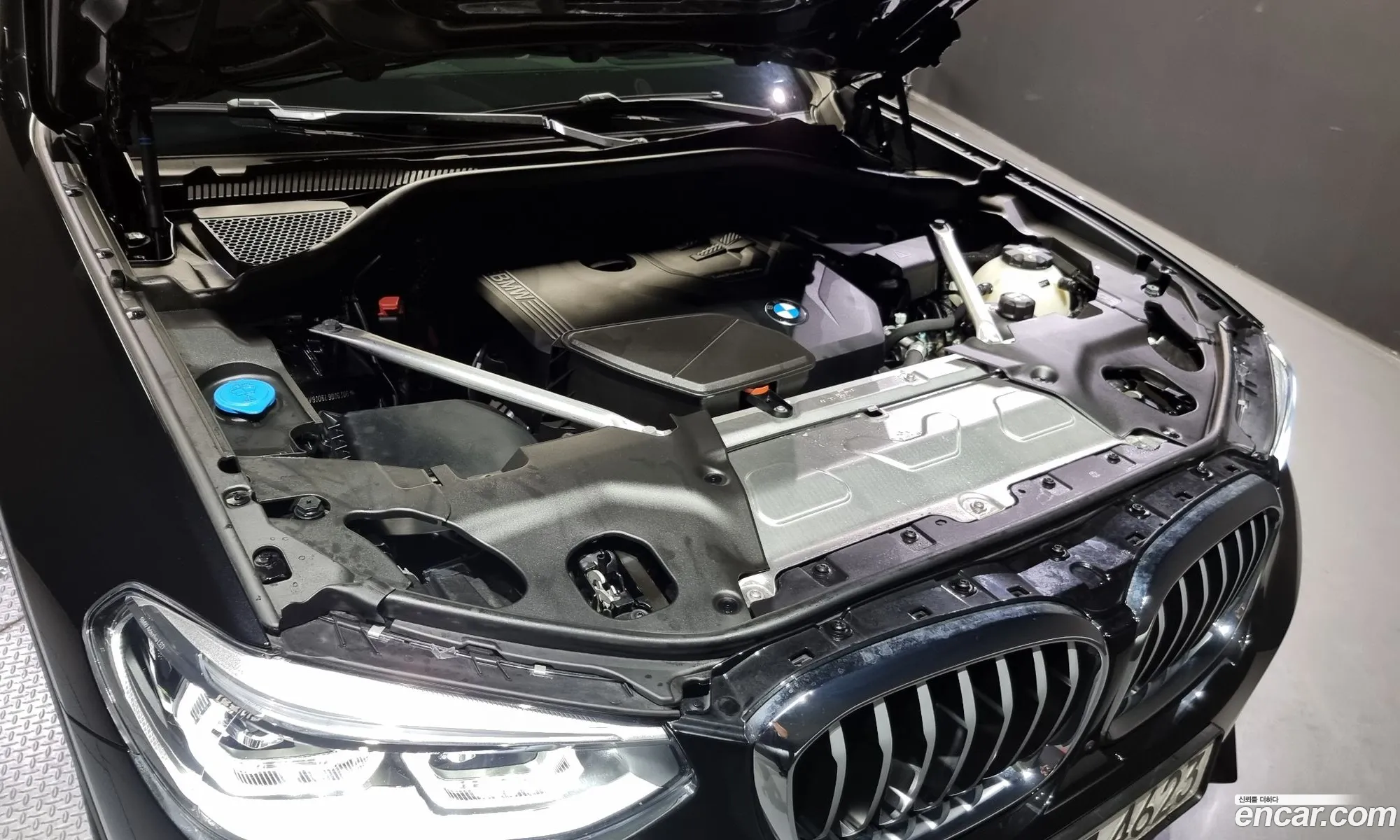 BMW X4 G02 xDrive20I Xline - фотография 18122711