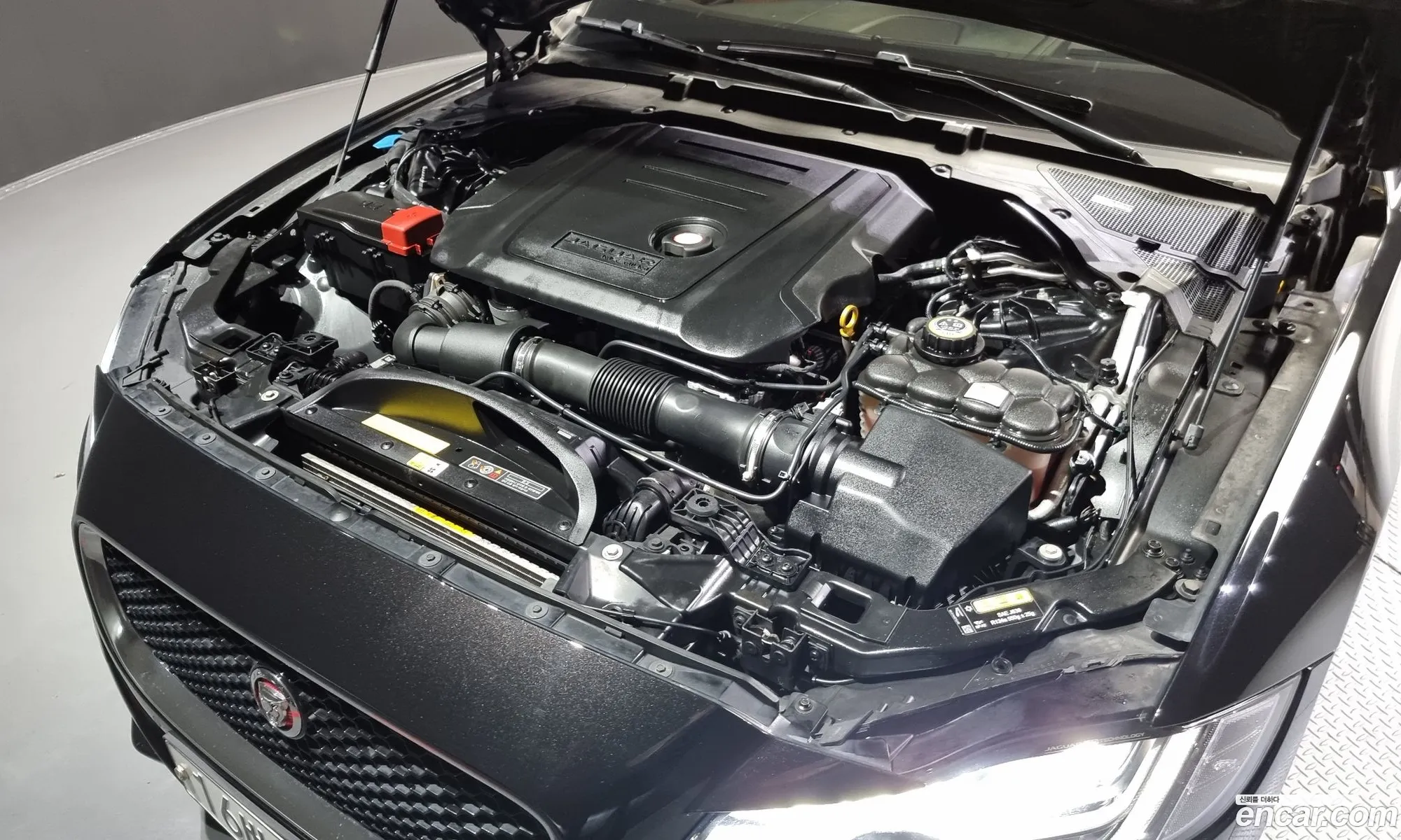Jaguar Xf X260 20D Portfolio Awd - фотография 3939000