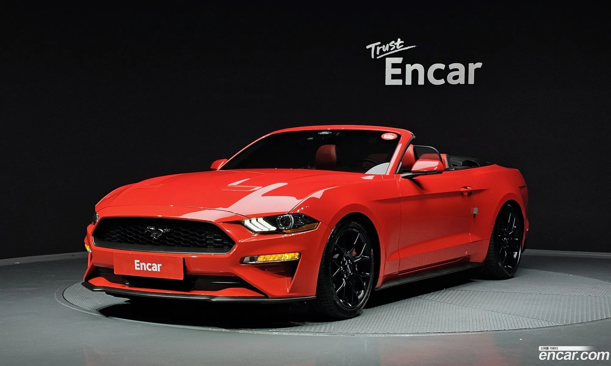 Mustang Convertible - фотография 18619857