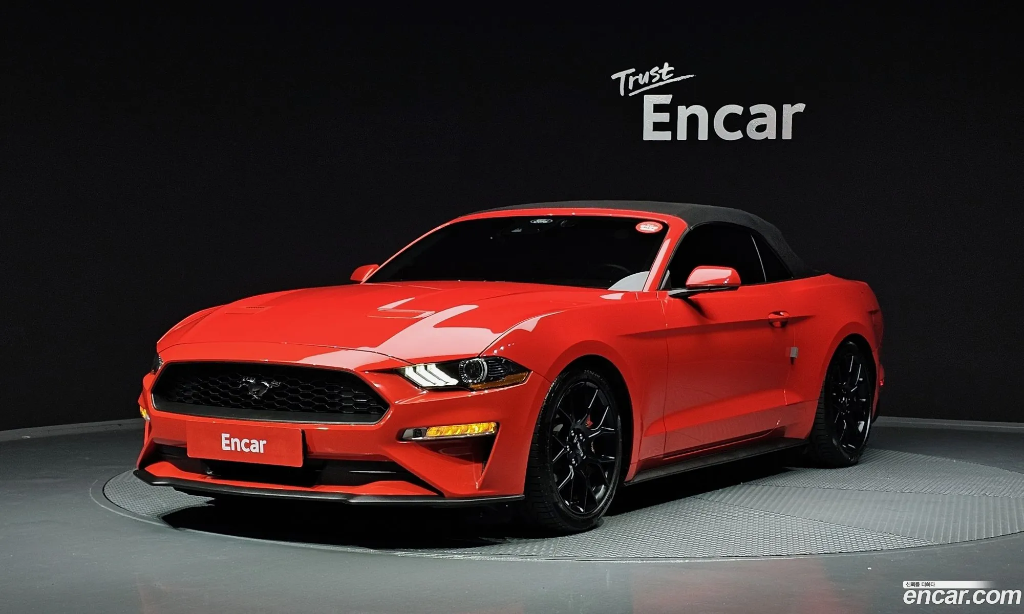 Mustang Convertible - фотография 18619858