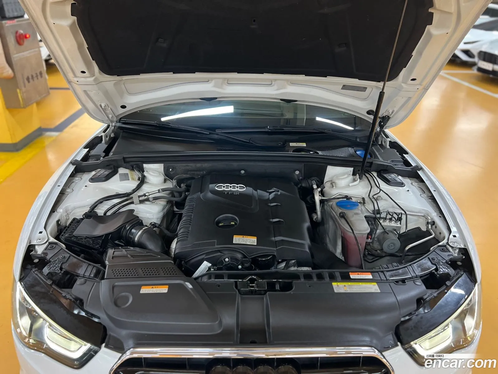 Korex Auto Trade - фотография 429976