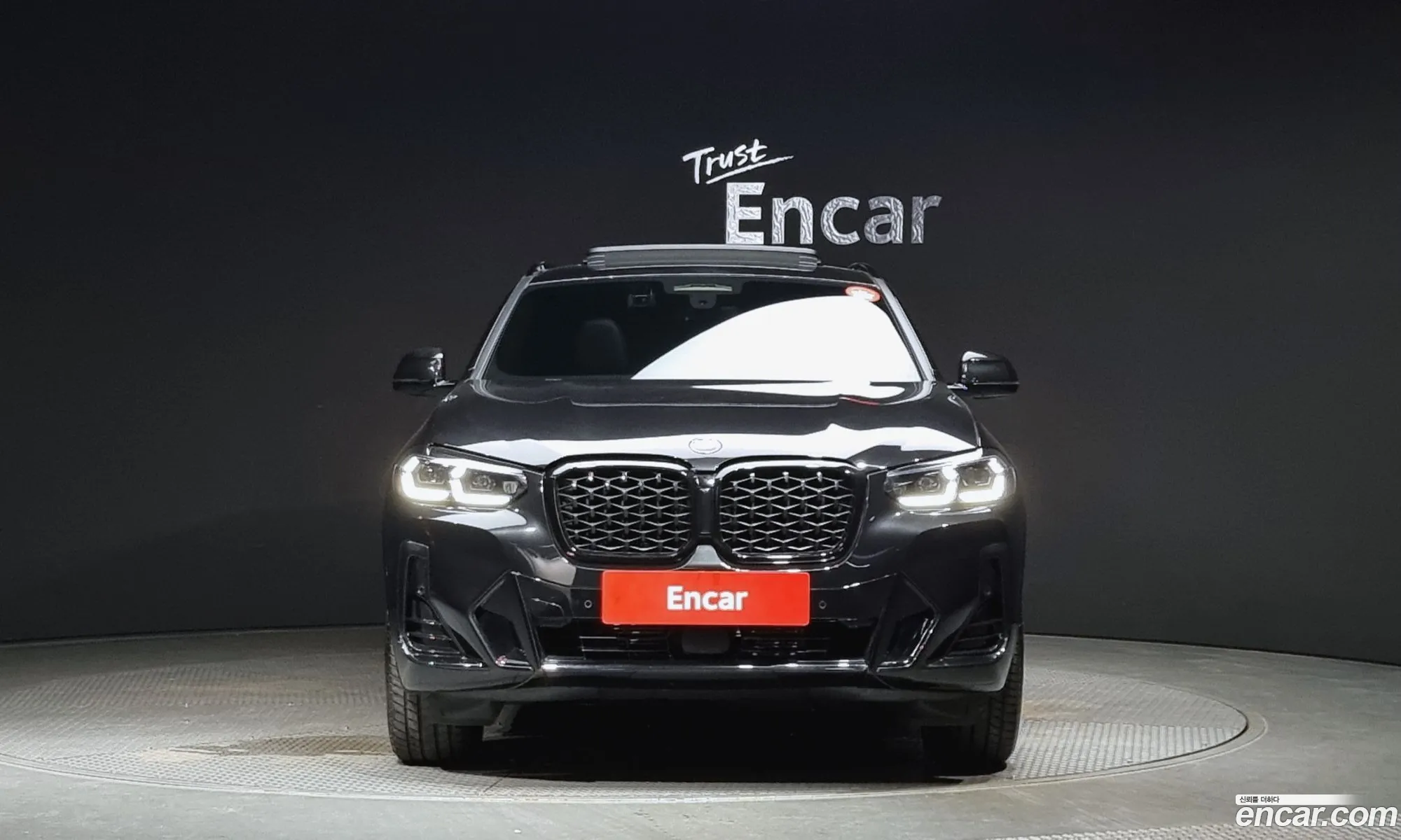 BMW X4 G02 xDrive20I M Sports Pro - фотография 18219227