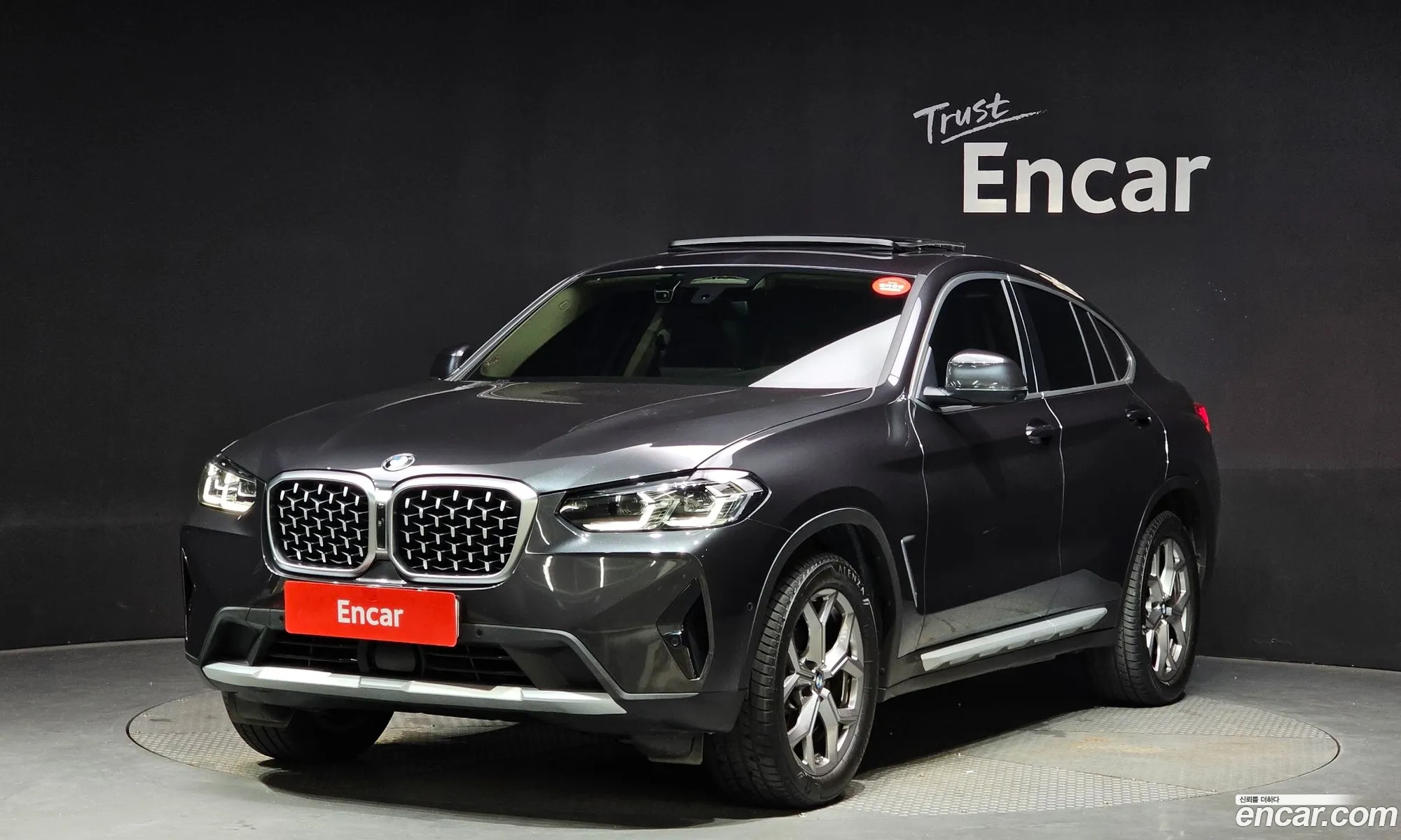 BMW X4 G02 xDrive20I Xline - фотография 15311256