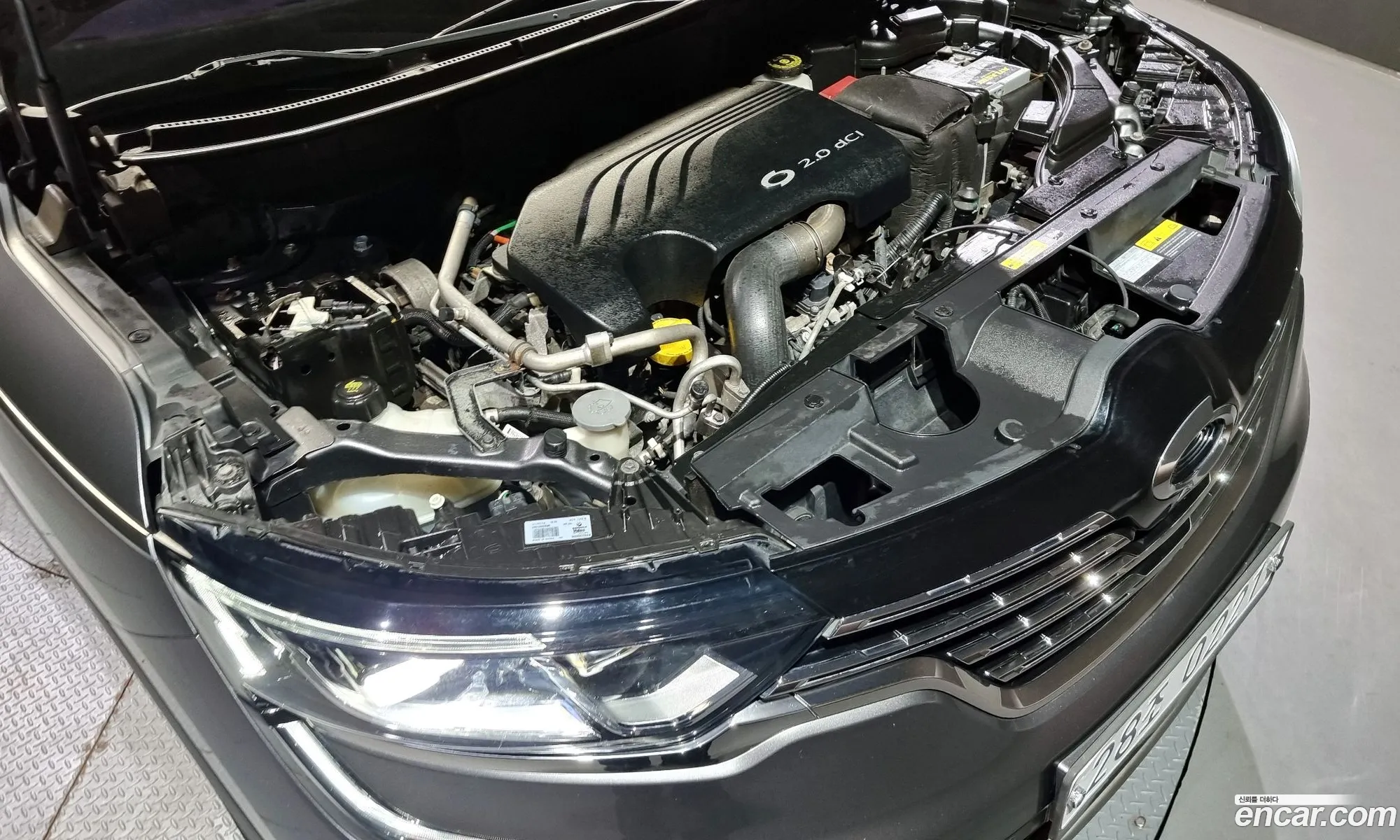 Renault Korea Samsung Qm6 Diesel 4Wd Re Signature - фотография 6673237