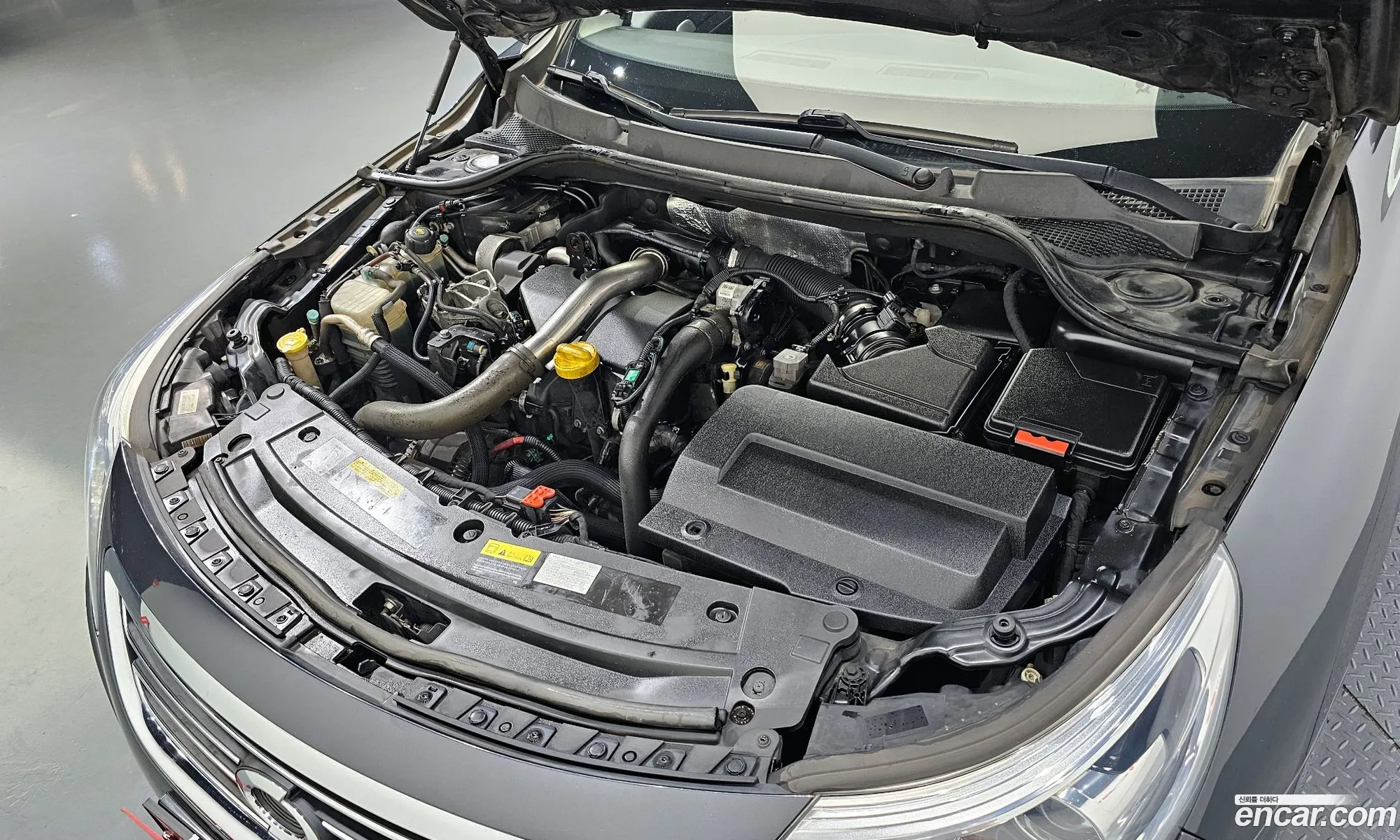 Renault Korea Samsung New Sm5 Platinum Diesel D Special - фотография 6862415
