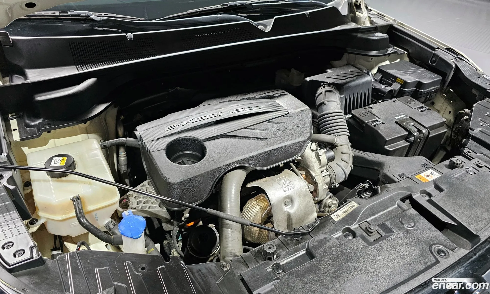 Kg Mobility Ssangyong Beautiful Korando Gasoline 15 2Wd C5 Plus - фотография 8416550