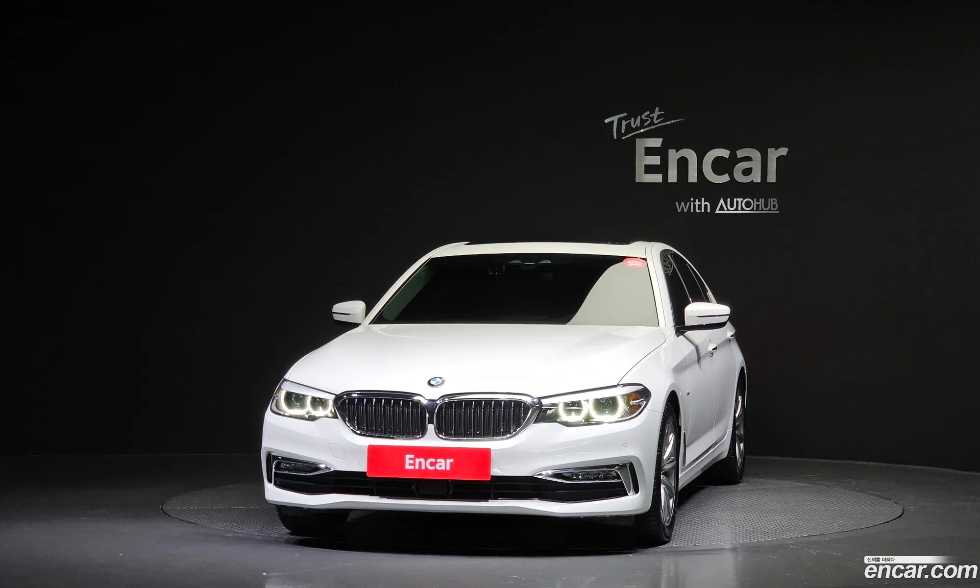 BMW 5 Series G30 520I Luxury - фотография 5184862