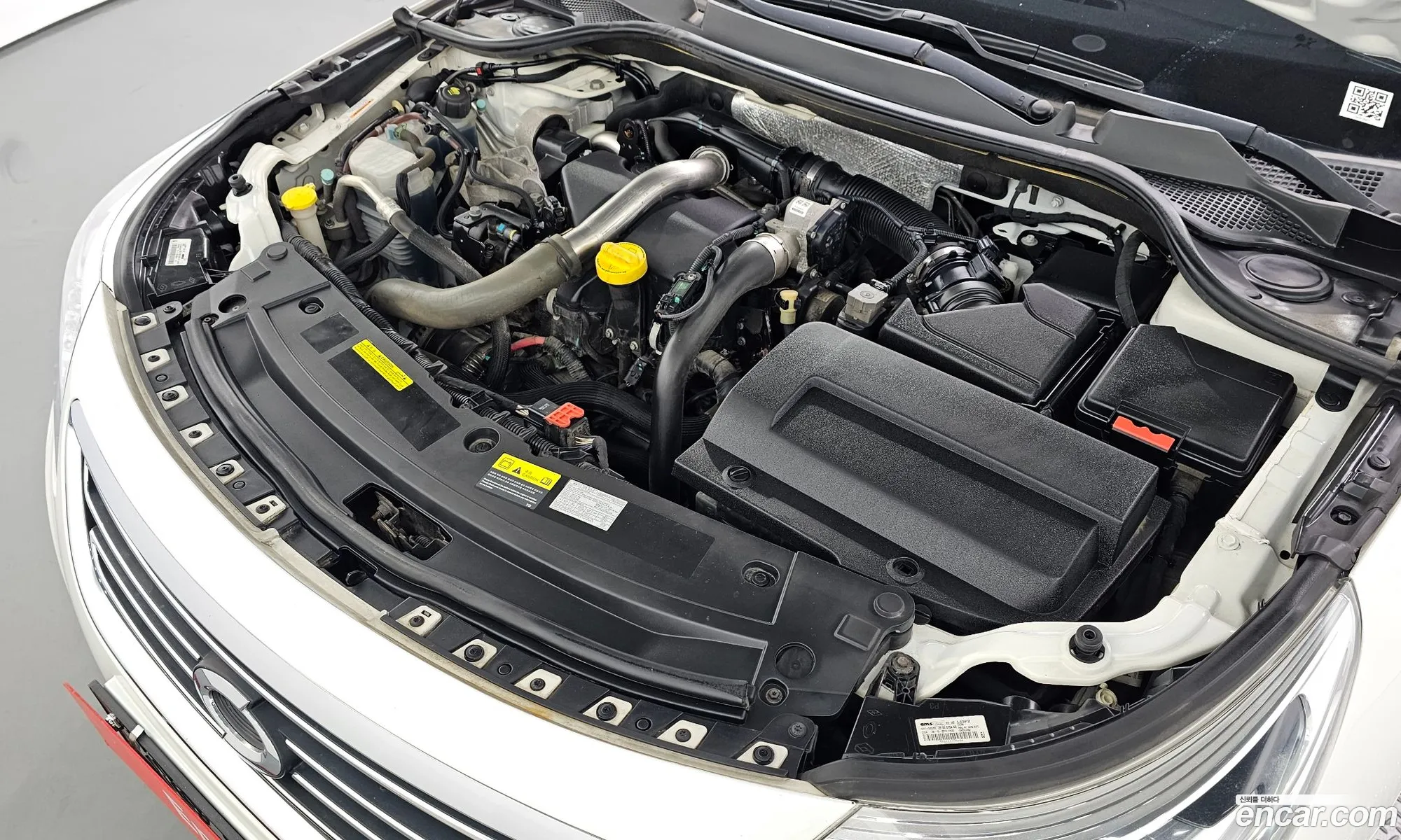 Renault Korea Samsung New Sm5 Platinum Diesel D Special - фотография 8439392