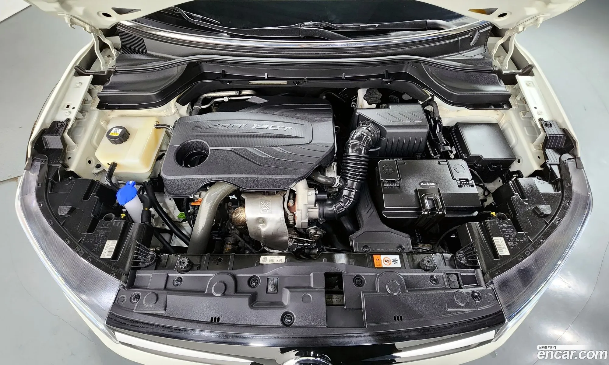 Kg Mobility Ssangyong Very New Tivoli Gasoline 15 2Wd V5 - фотография 8451877