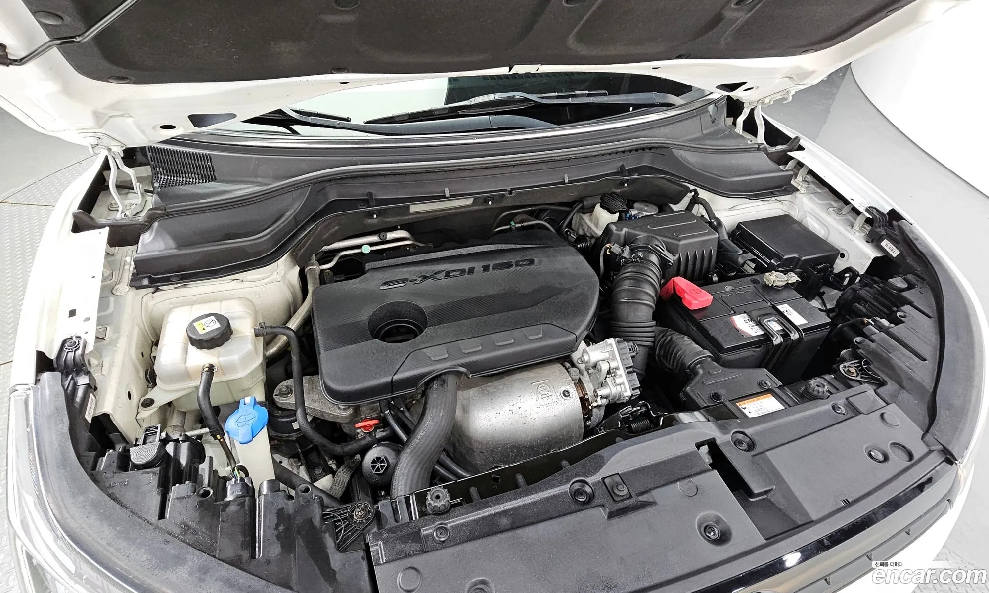 Kg Mobility Ssangyong Tivoli Diesel Tx 2Wd - фотография 6340877