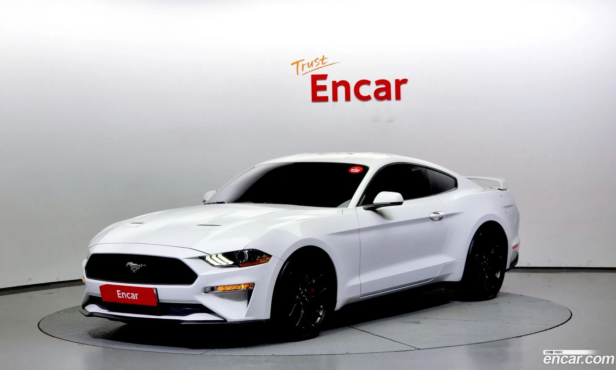 Ford Mustang Coupe - фотография 4625586