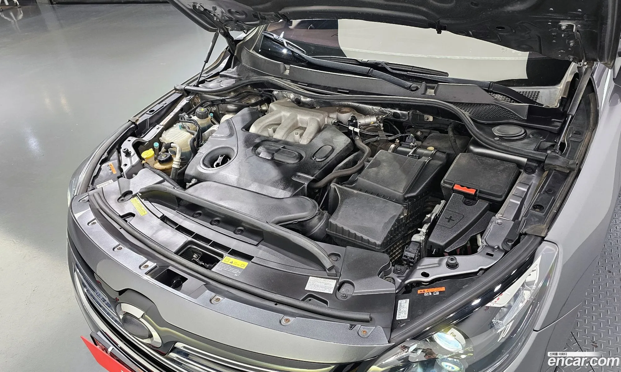 Renault Korea Samsung Sm7 Nova 25 V6 - фотография 19157324