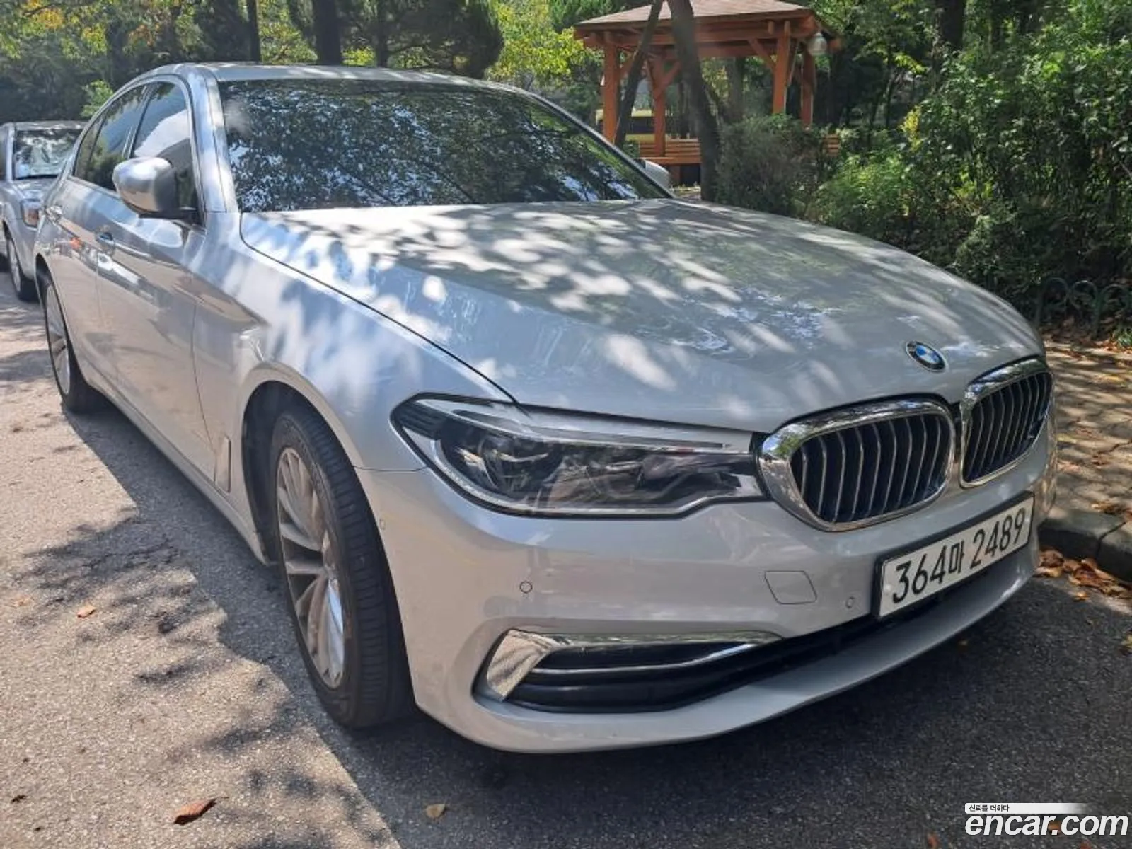 BMW 5 Series G30 520D Luxury Plus - фотография 4867348