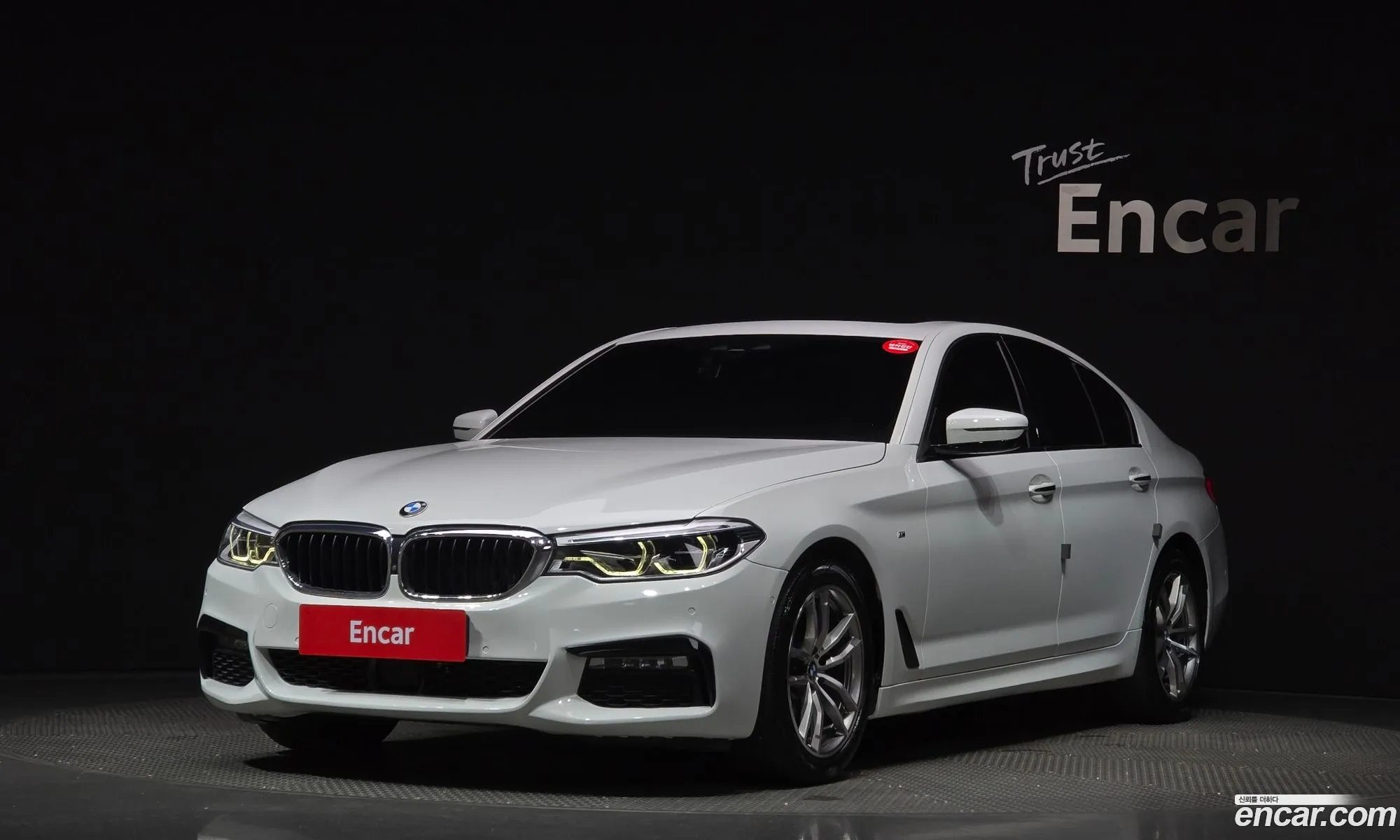 BMW 5 Series G30 520D xDrive M Sport Plus - фотография 18422332