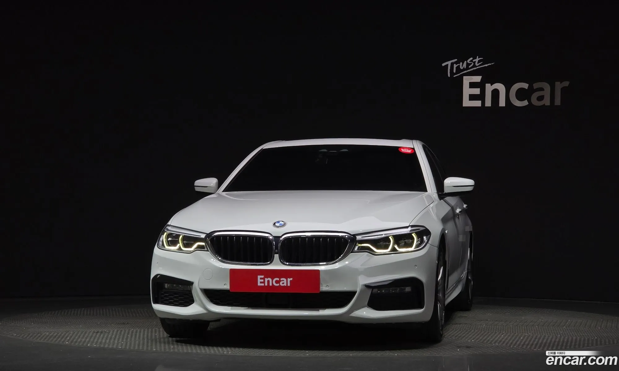 BMW 5 Series G30 520D xDrive M Sport Plus - фотография 18422334