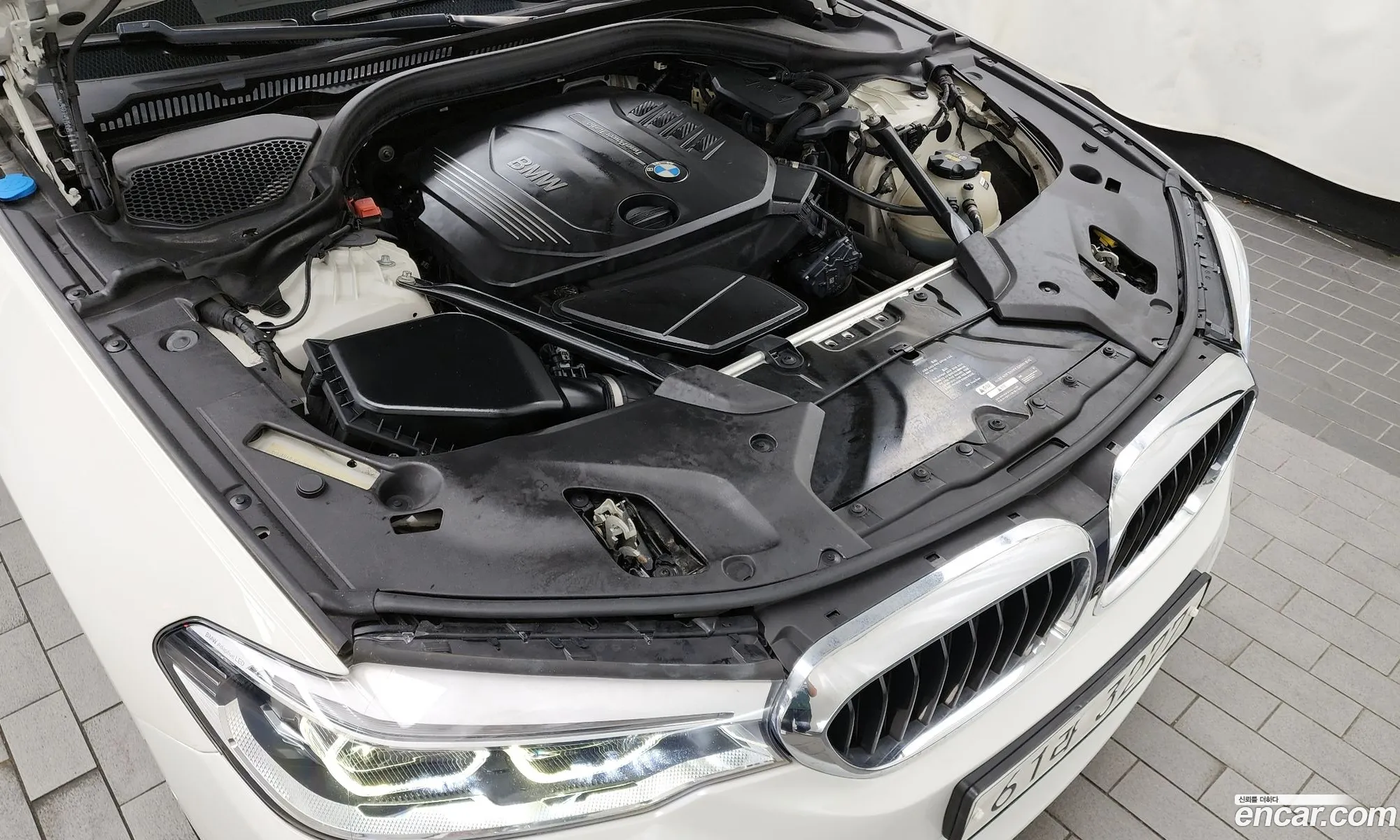 BMW 5 Series G30 520D xDrive M Sport Plus - фотография 18422337
