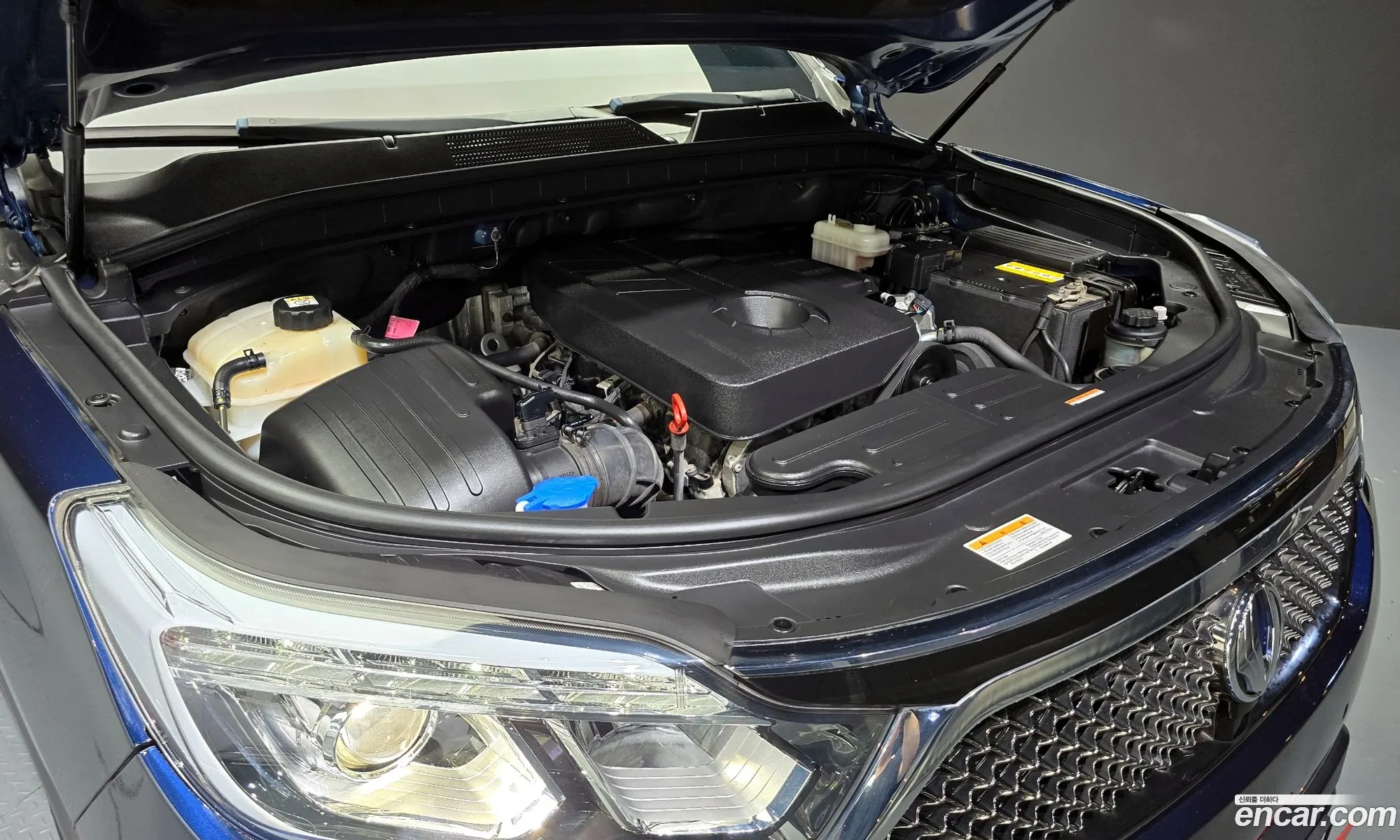 Kg Mobility Ssangyong G4 Rexton Diesel 22 4Wd Eurasia Edition - фотография 8186151