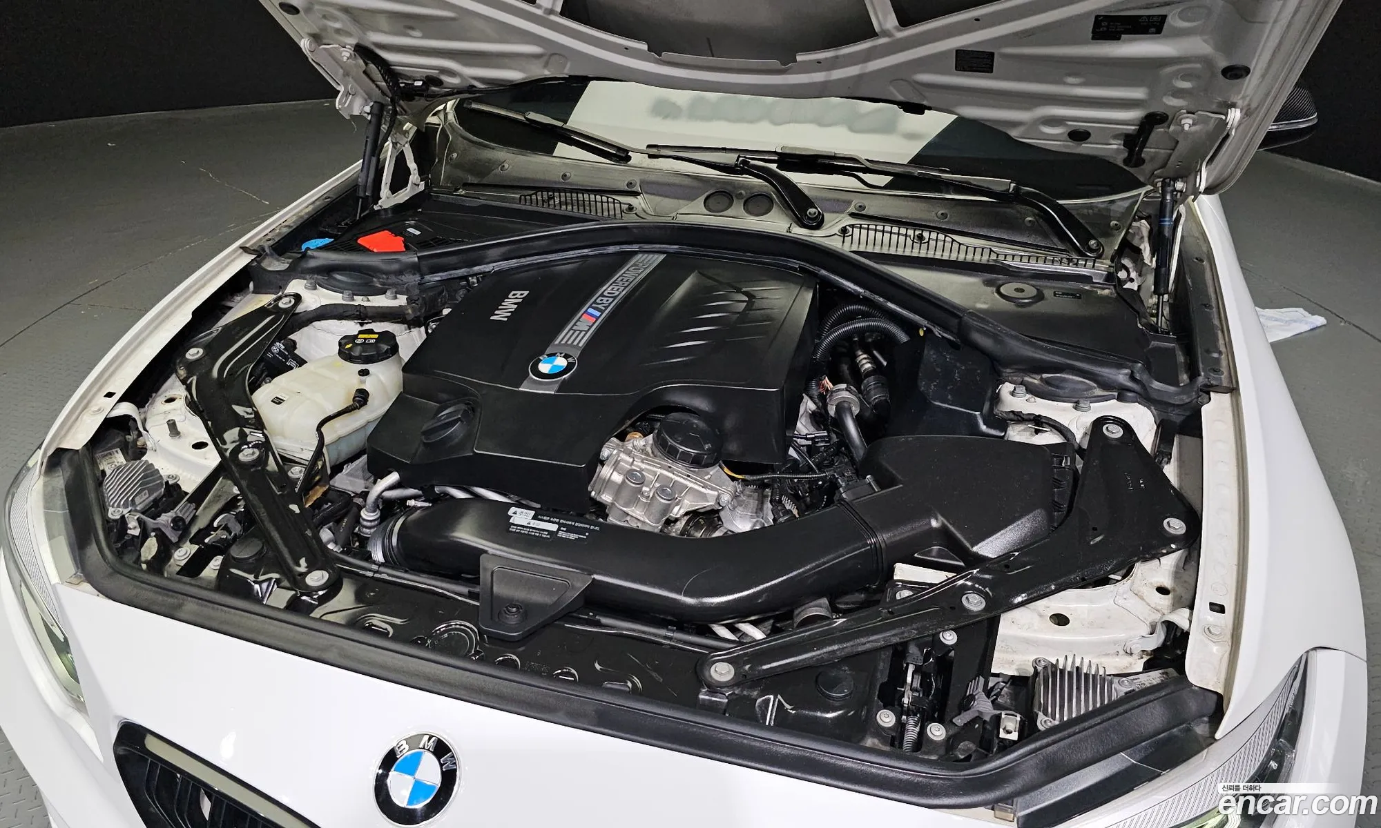 BMW M2 F87 M2 Coupe - фотография 6811540