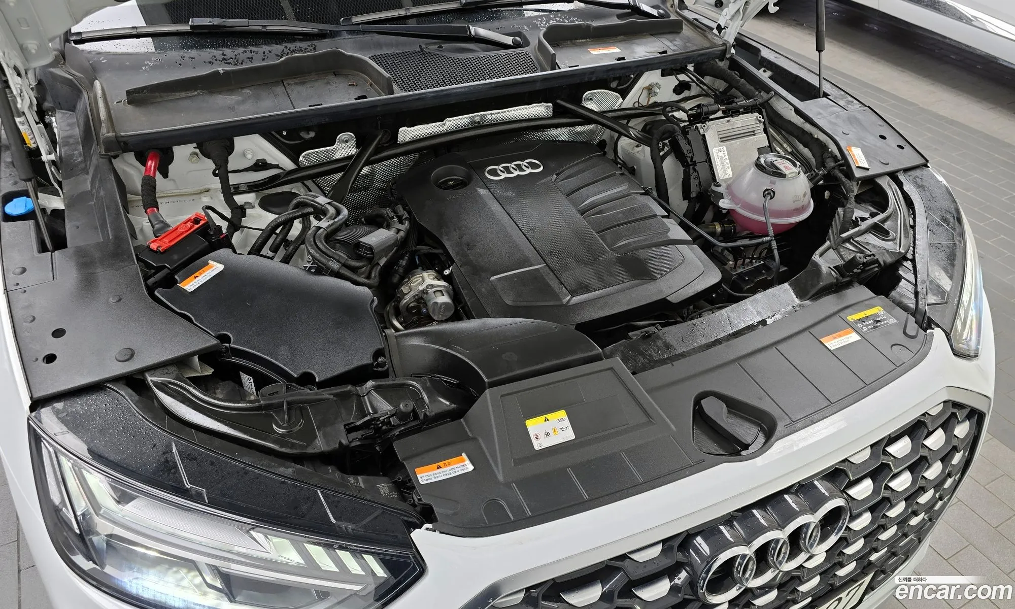Korex Auto Trade - фотография 17480390