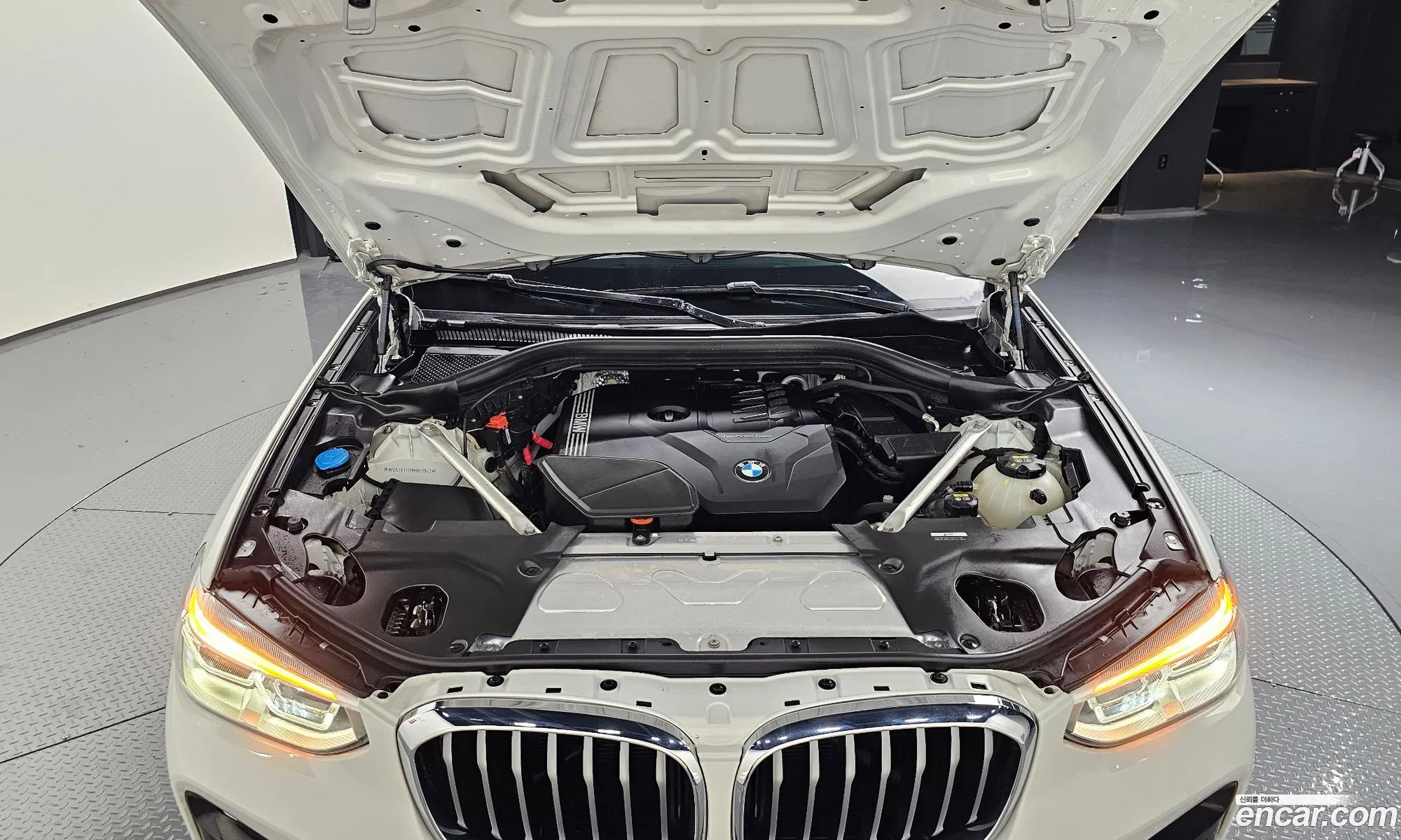 BMW X4 G02 xDrive20I M Sports - фотография 8744584
