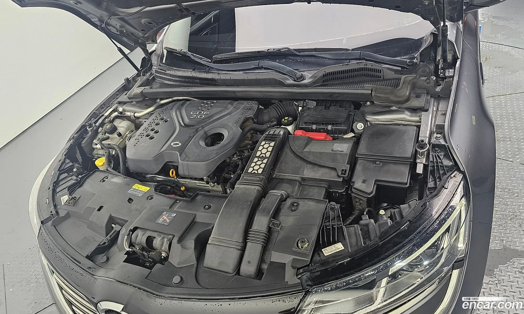 Renault Korea Samsung Sm6 20 Gde Le - фотография 6941791