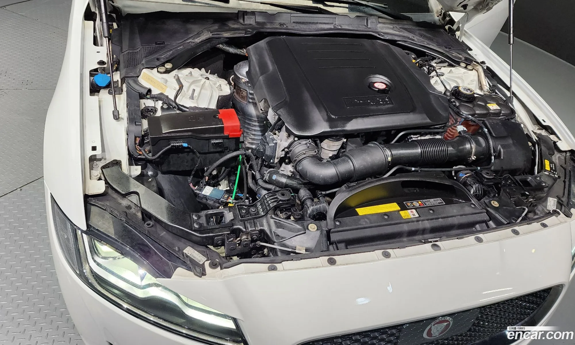 Jaguar Xf X260 20D Portfolio - фотография 3929935