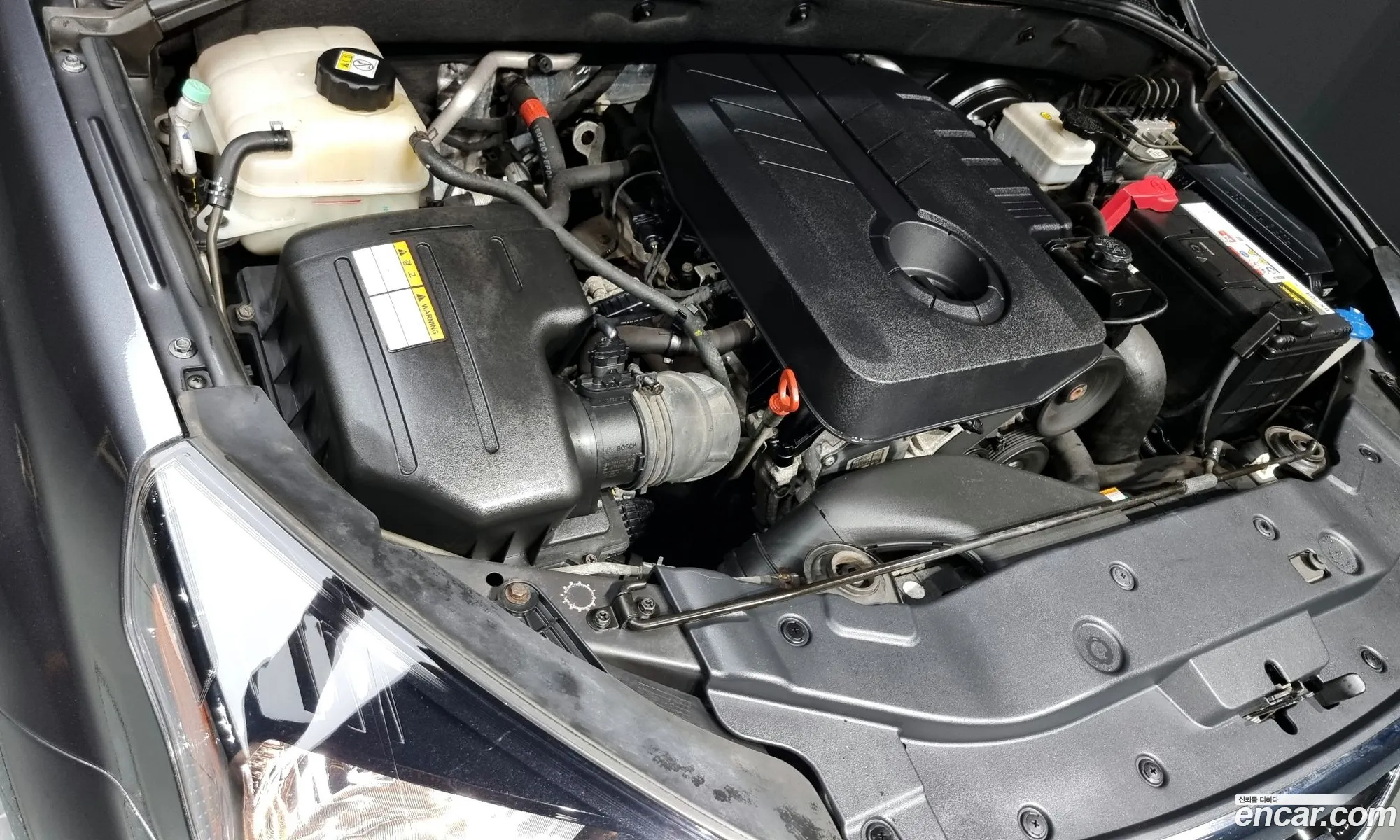 Kg Mobility Ssangyong The New Korando Sports 22 Cx7 4Wd Club - фотография 8416562
