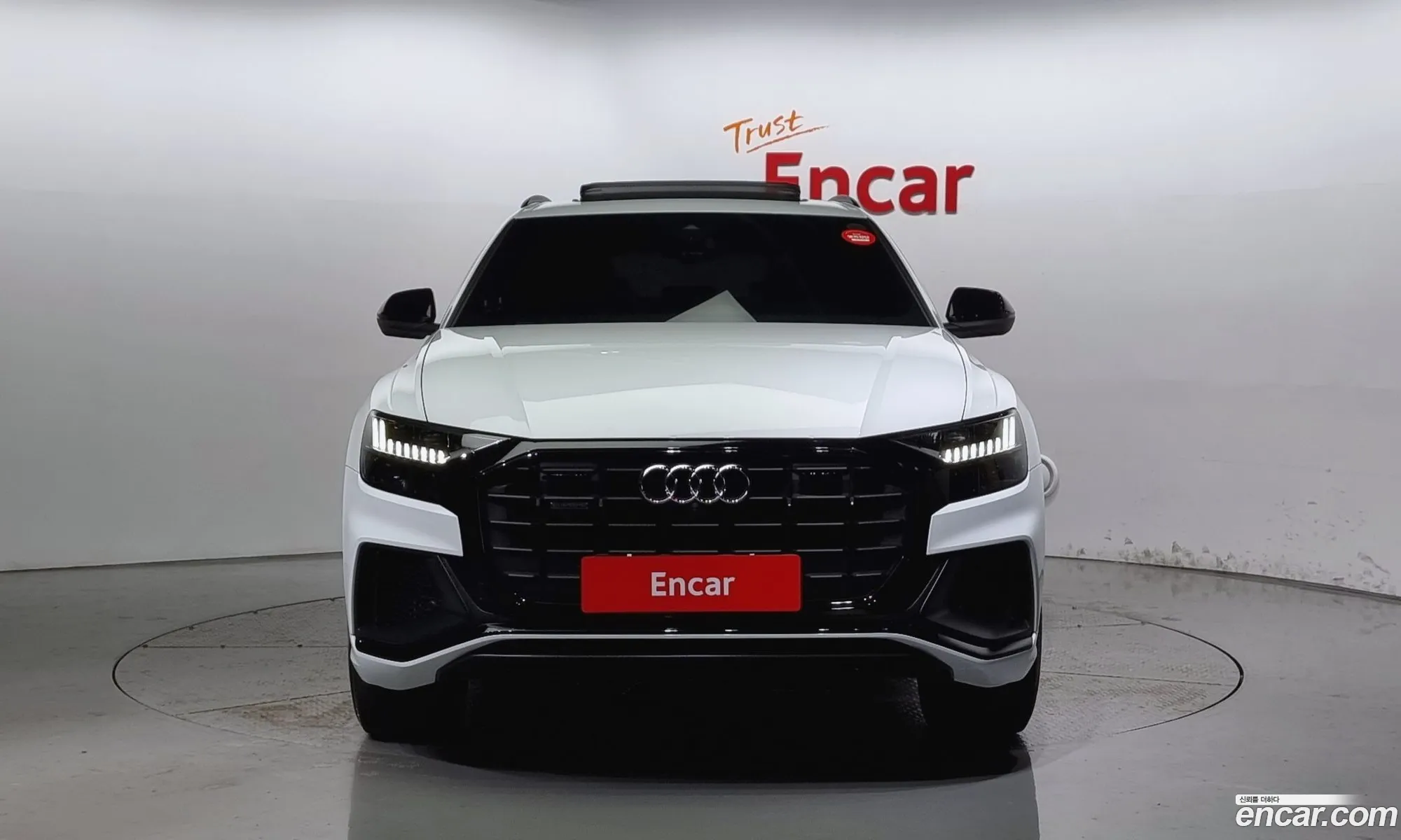 Audi Q8 4M 55 Tfsi Quattro Premium - фотография 397384