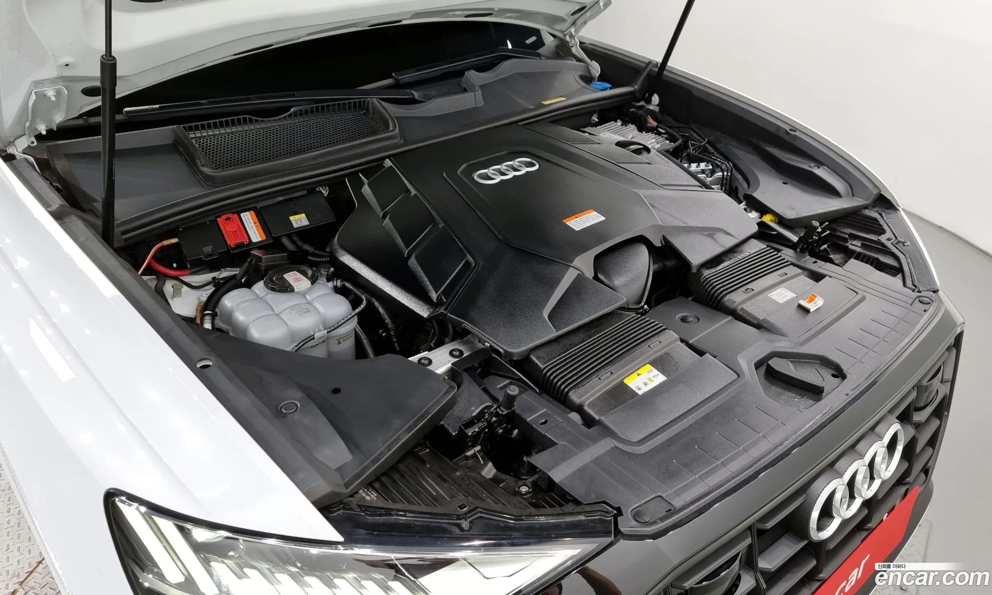 Audi Q8 4M 55 Tfsi Quattro Premium - фотография 397387