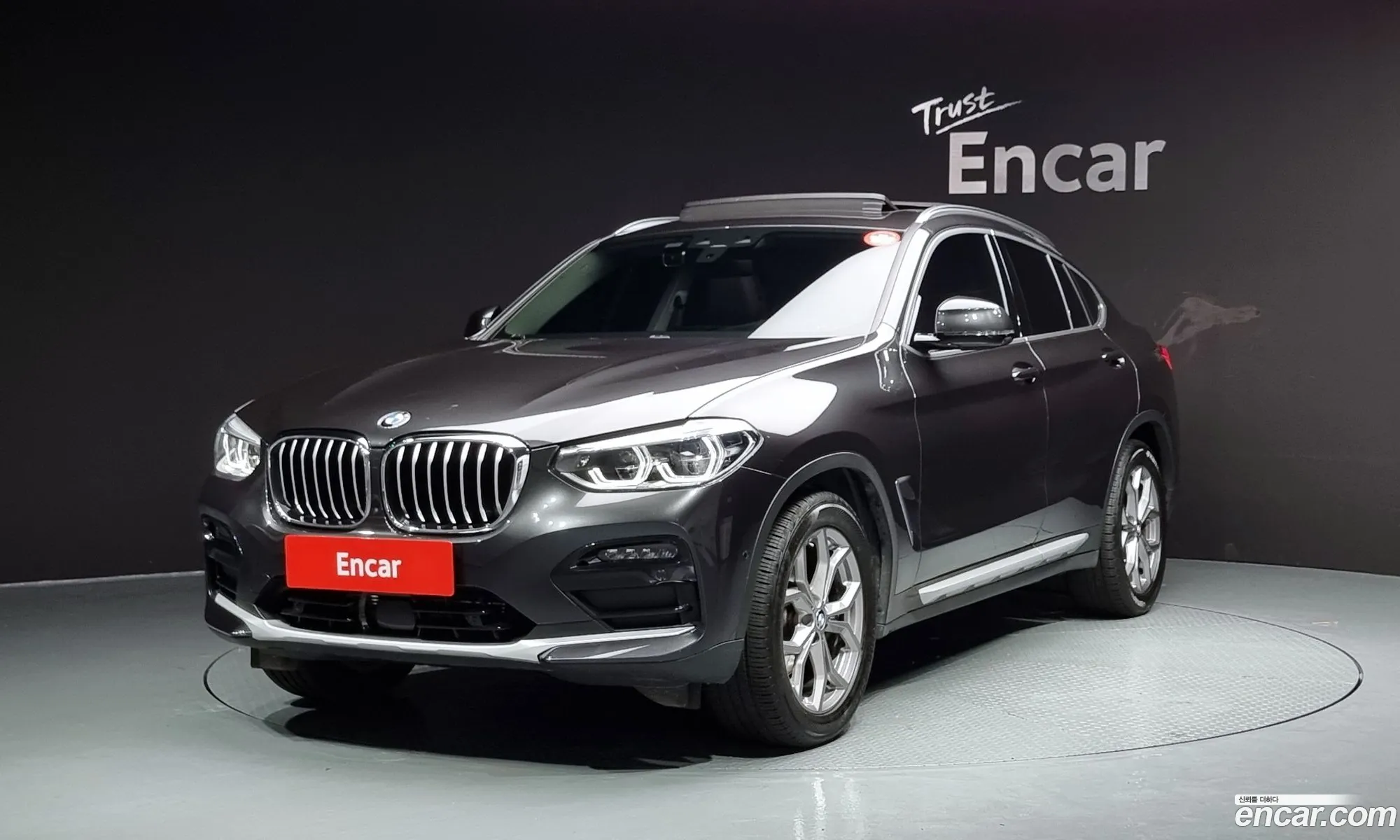 BMW X4 G02 xDrive20I Xline - фотография 18338421