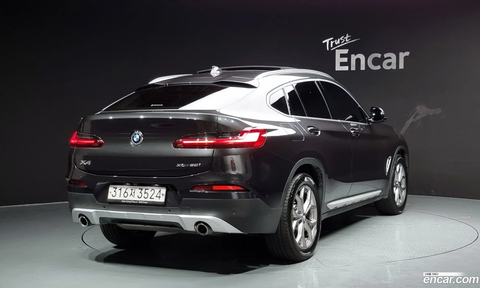 BMW X4 G02 xDrive20I Xline - фотография 18338422