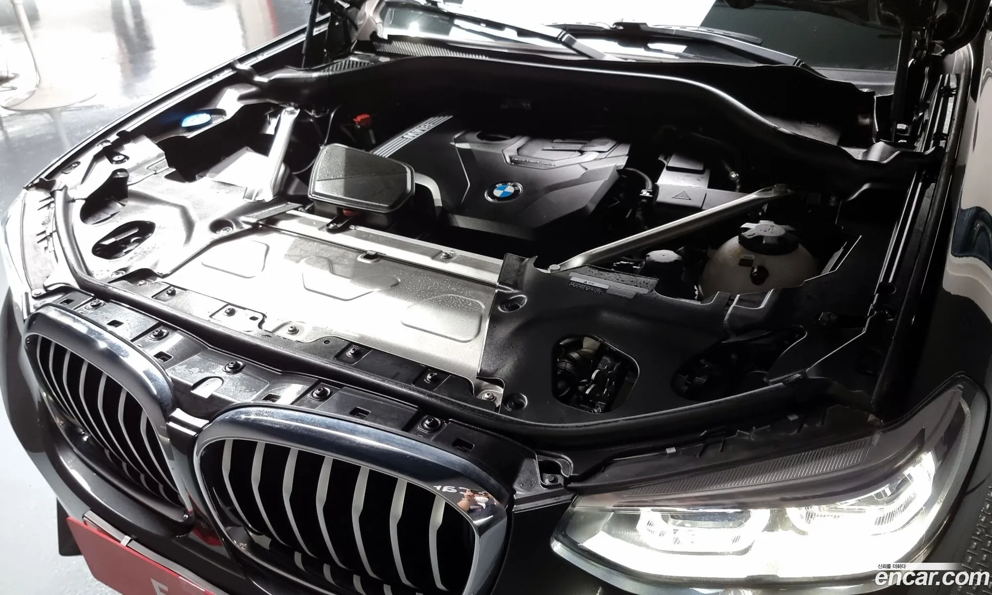 BMW X4 G02 xDrive20I Xline - фотография 18338426