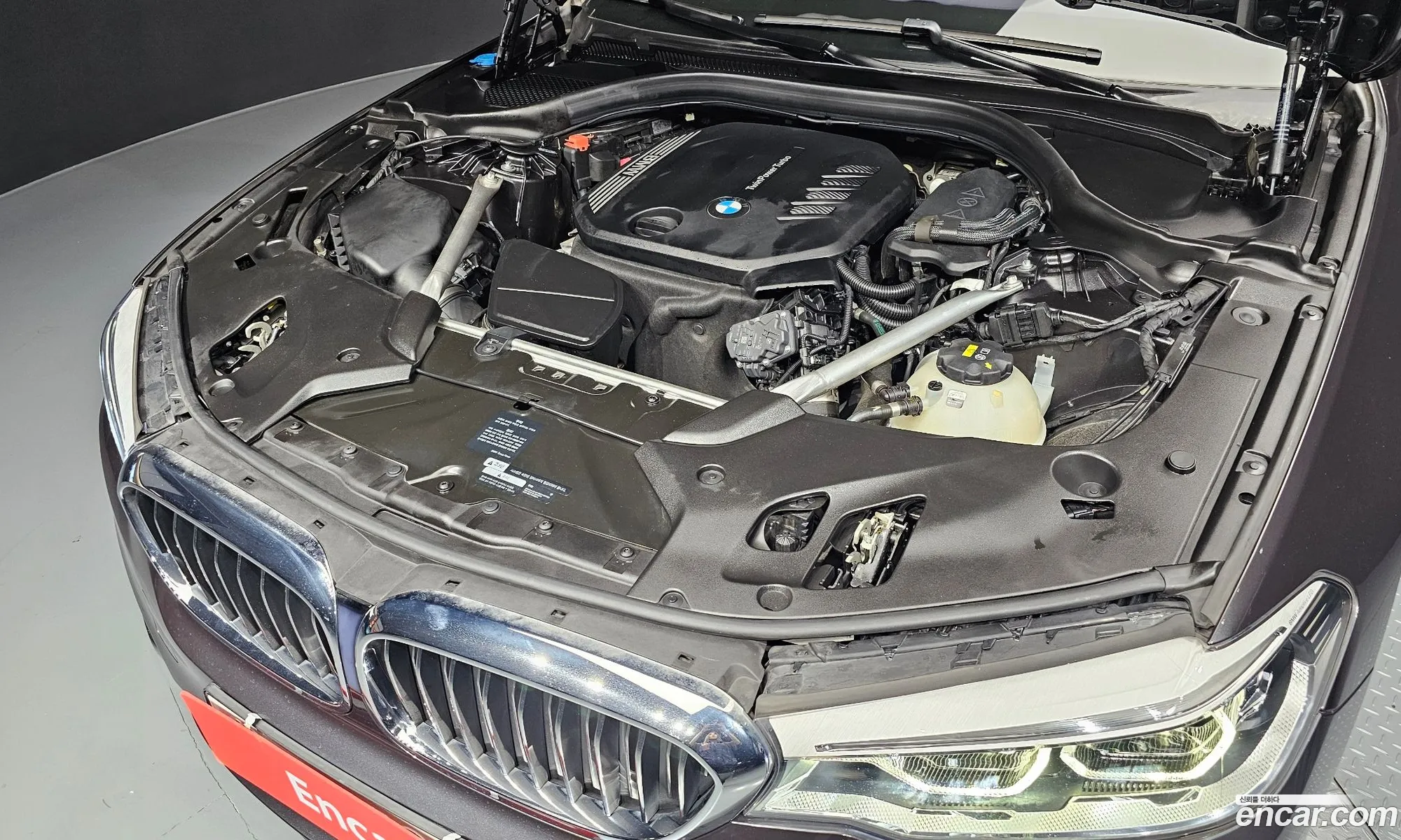 BMW 5 Series G30 520D Luxury Plus - фотография 8372866