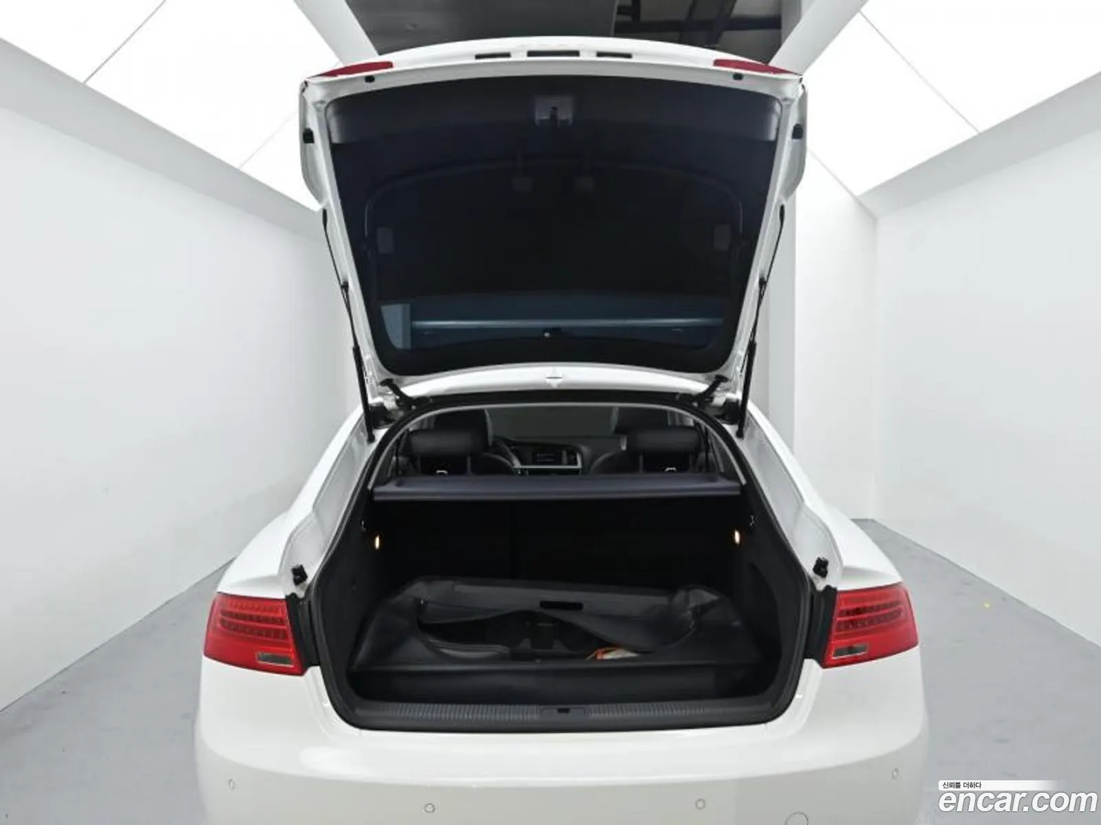 Korex Auto Trade - фотография 12685619
