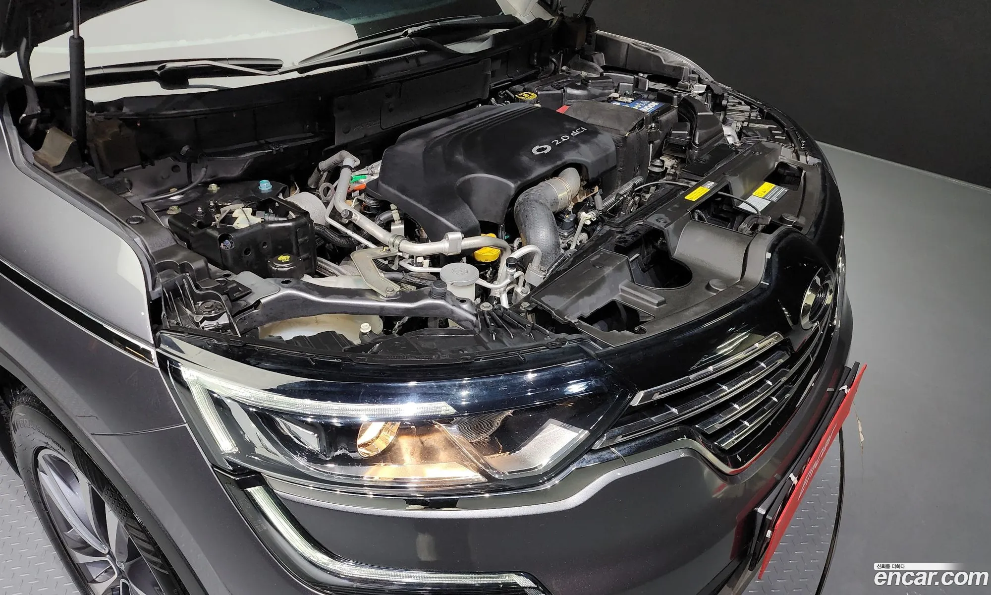 Renault Korea Samsung Qm6 Diesel 2Wd Re Plus - фотография 8485631