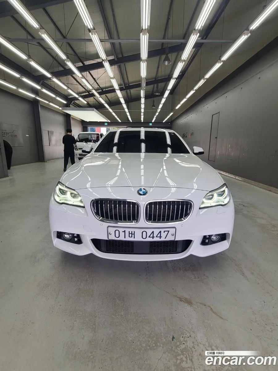 BMW 5 Series F10 520D xDrive M Aerodynamics - фотография 2453020