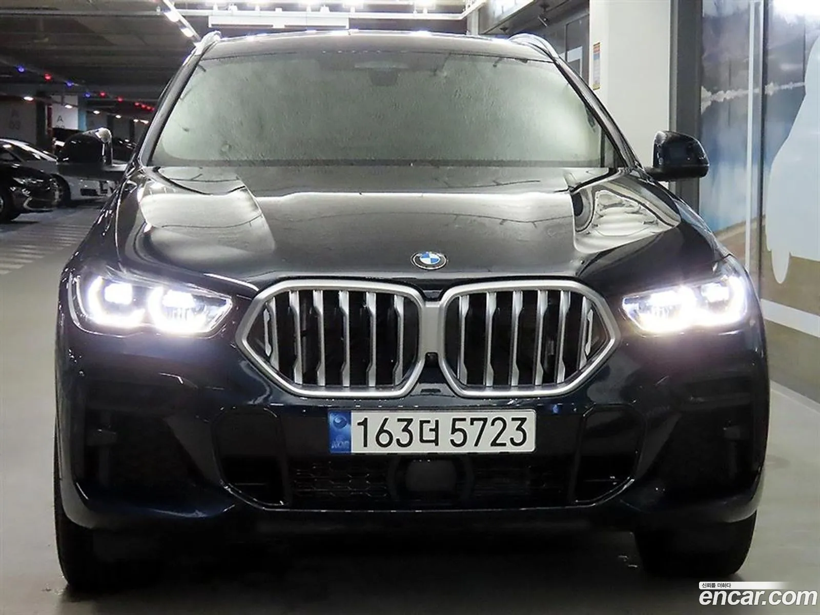 BMW X6 G06 xDrive30D M Sports - фотография 8583190