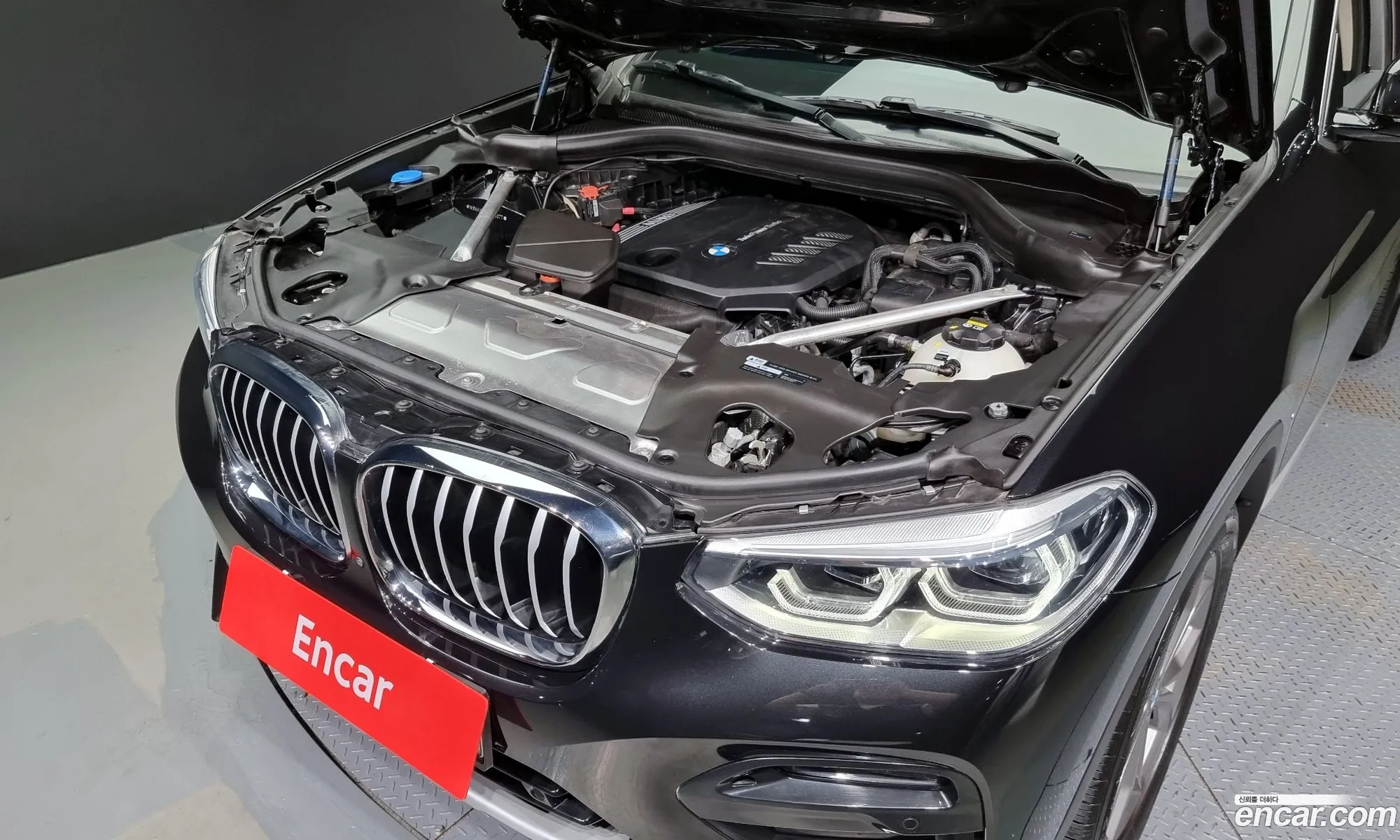 BMW X4 G02 xDrive20D Xline - фотография 6585765