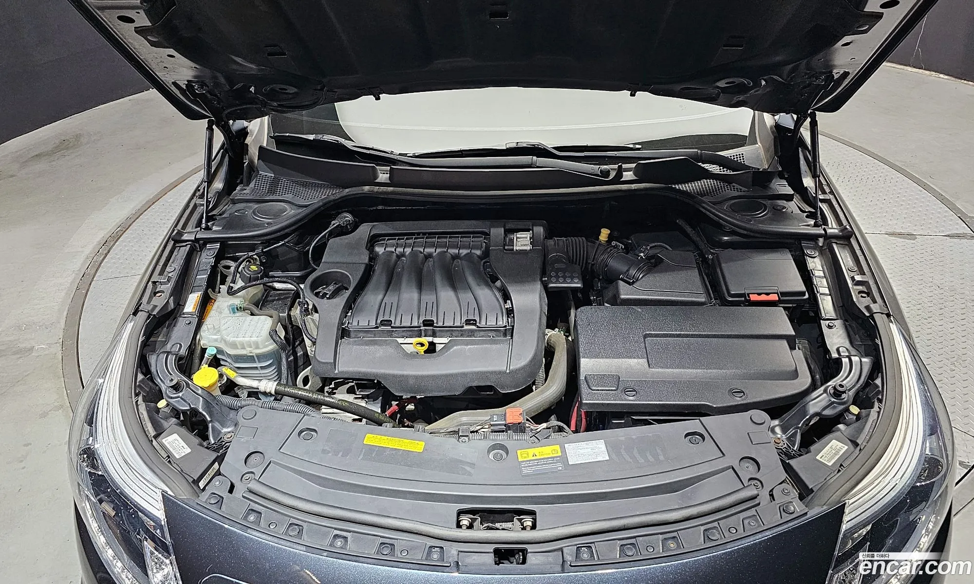 Renault Korea Samsung New Sm5 Platinum Se SS Collection - фотография 7189042
