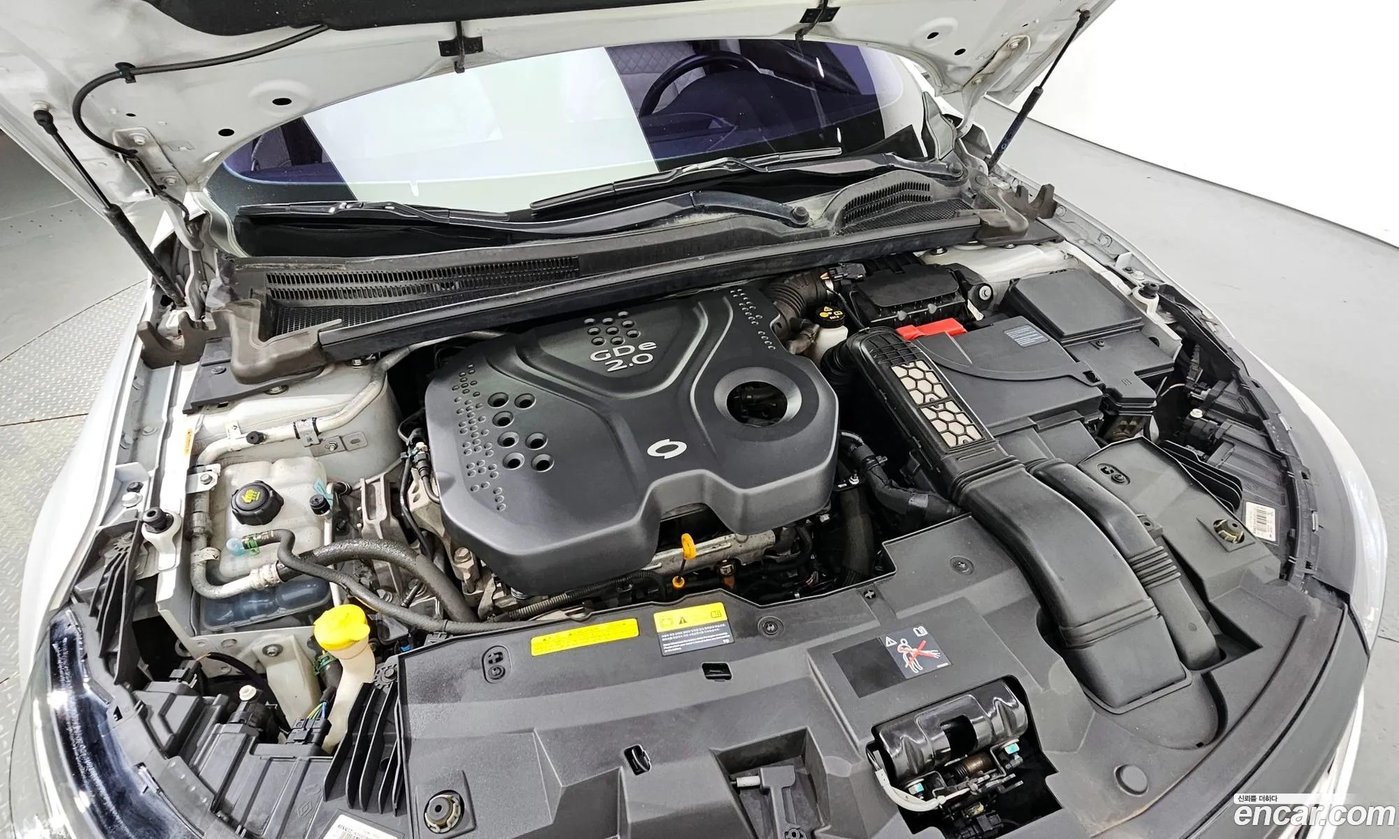 Renault Korea Samsung Sm6 20 Gde Re - фотография 6975917