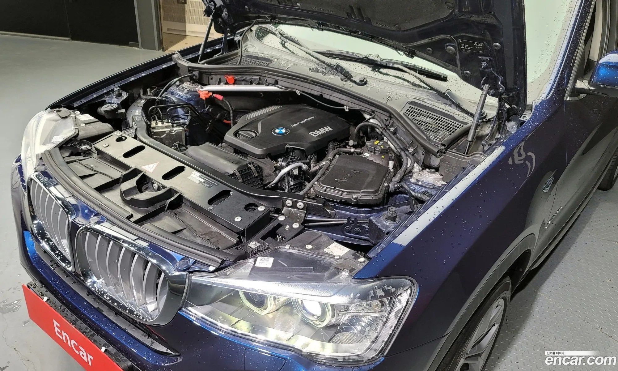 BMW X4 F26 xDrive20D - фотография 18901673
