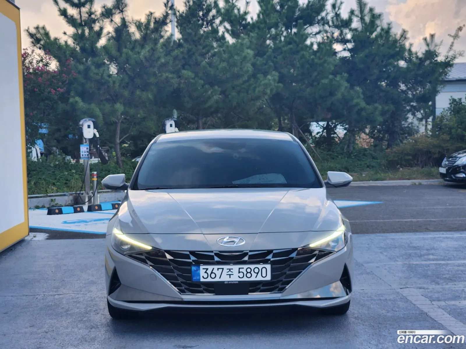 Korex Auto Trade - фотография 8588494