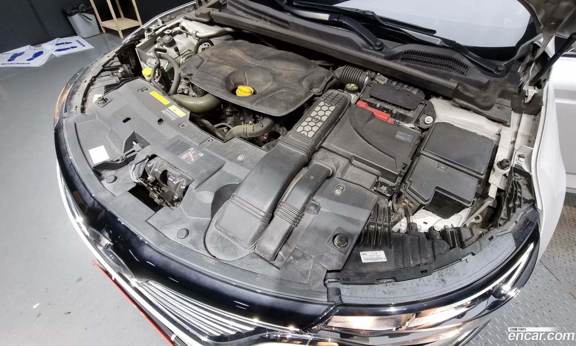 Renault Korea Samsung Sm6 15 Dci Se - фотография 7123611