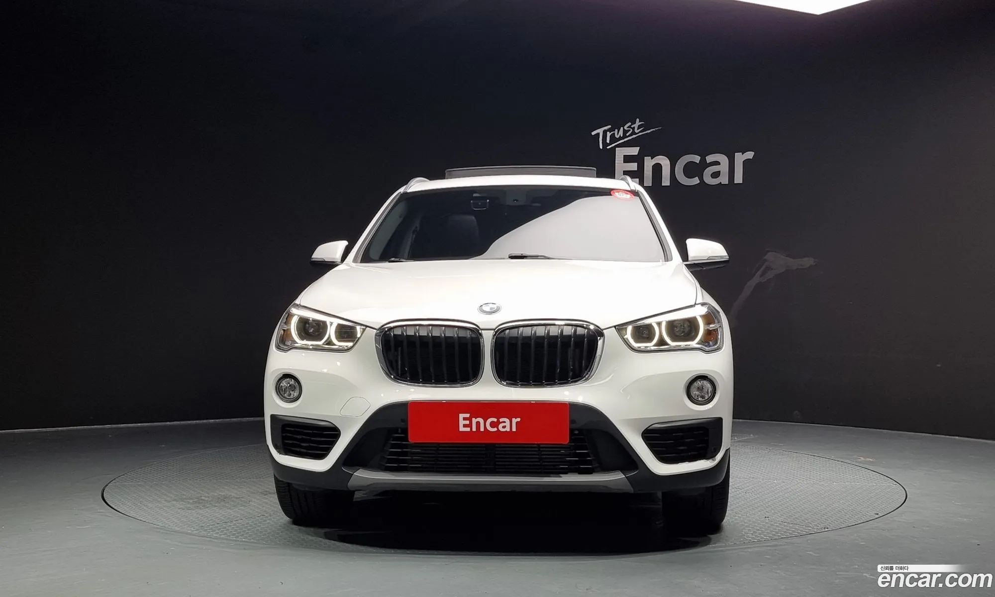 BMW X1 F48 xDrive 18D Premium - фотография 6853665