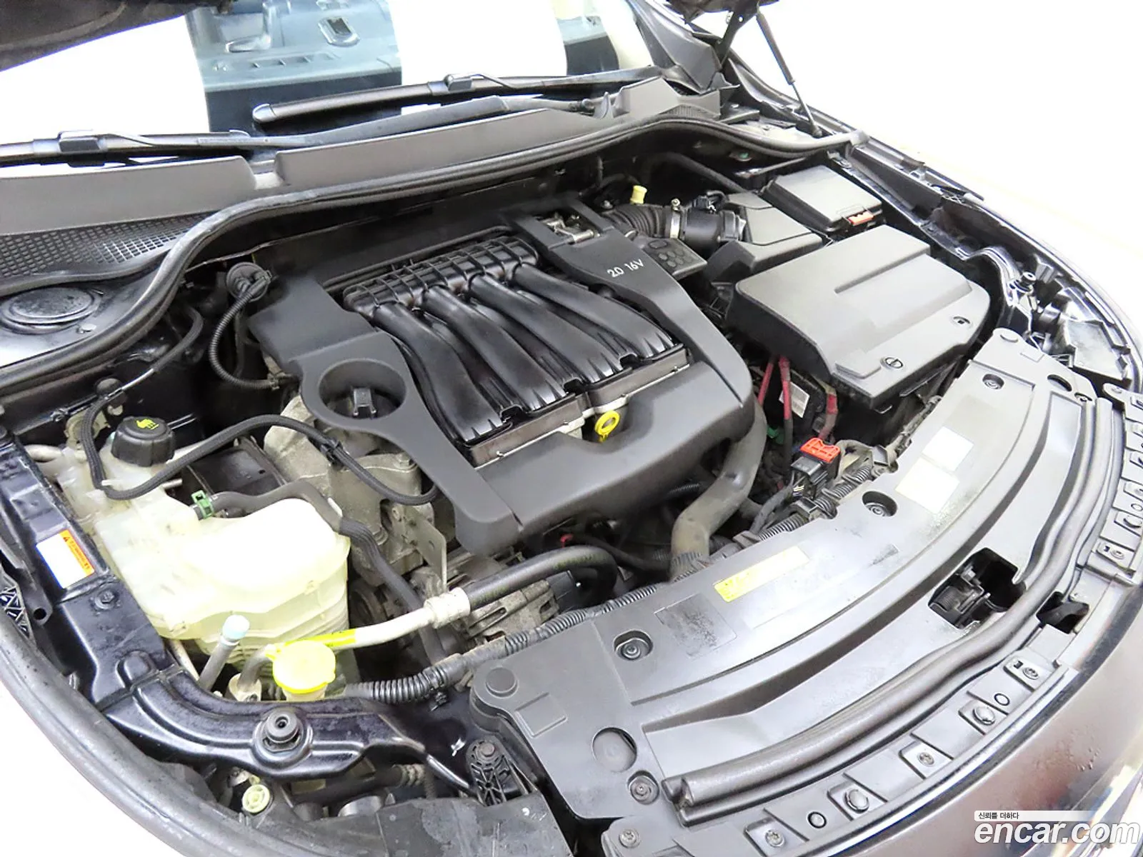 Renault Korea Samsung New Sm5 Platinum Se Basic Type - фотография 7416607