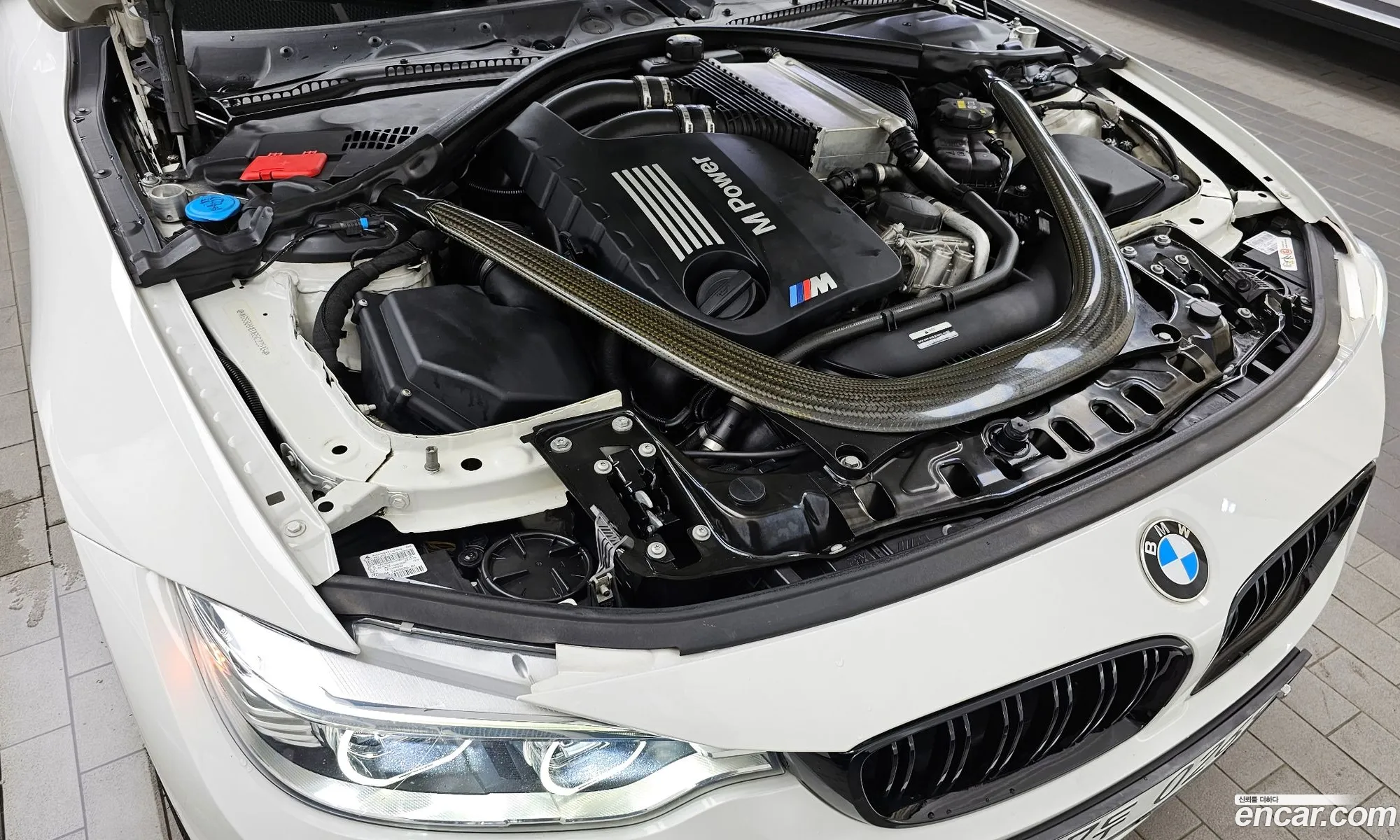 BMW M4 F82 M4 Convertible Performance Silencer Edition - фотография 6955130